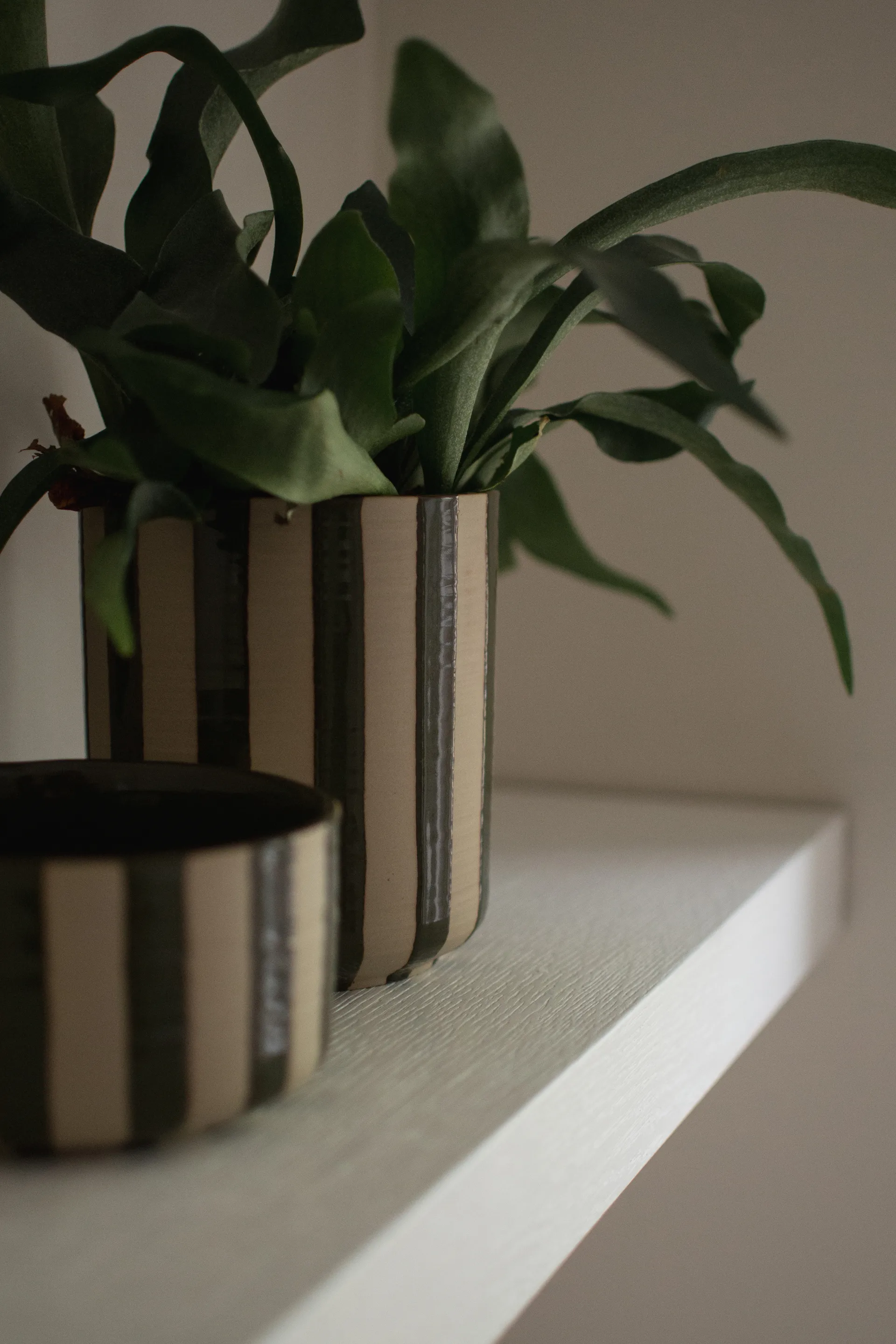 Line vaso para plantas Ø14x16 cm, Verde riscado DBKD