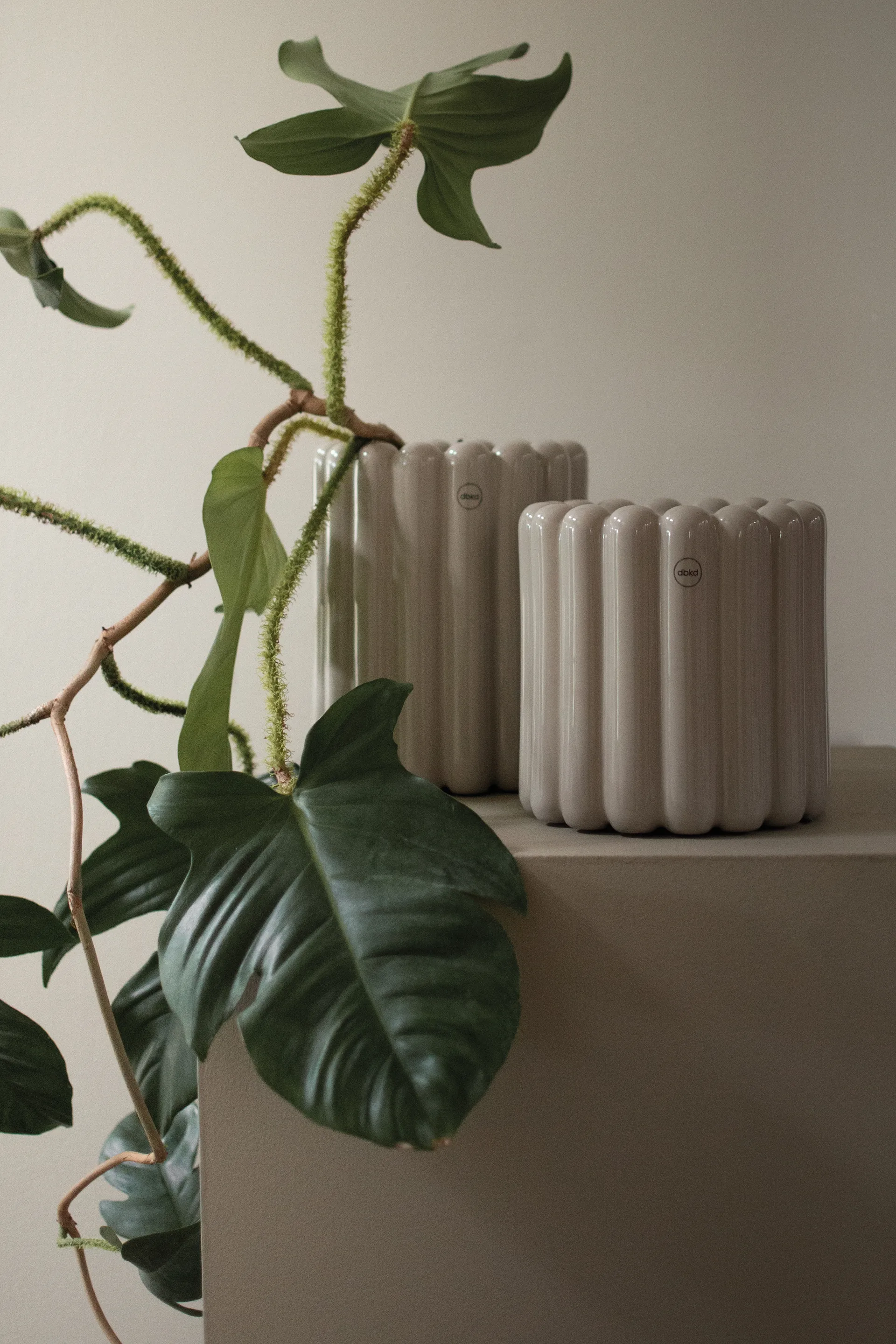 Mist vaso de flores pequeno Ø19x19 cm, Toupeira brilhante DBKD