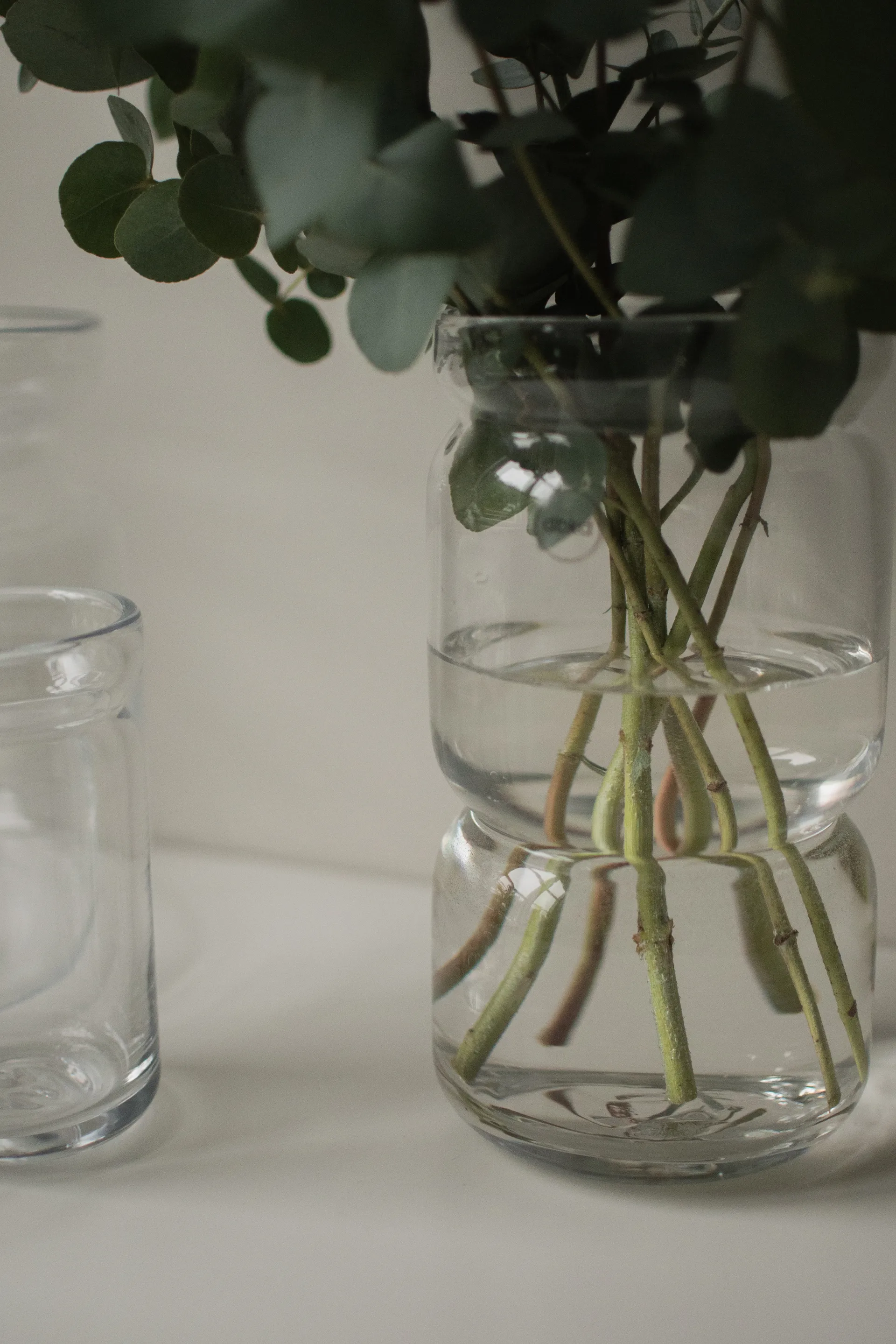 Neck vaso para plantas, Claro, Ø12x22,5 cm DBKD