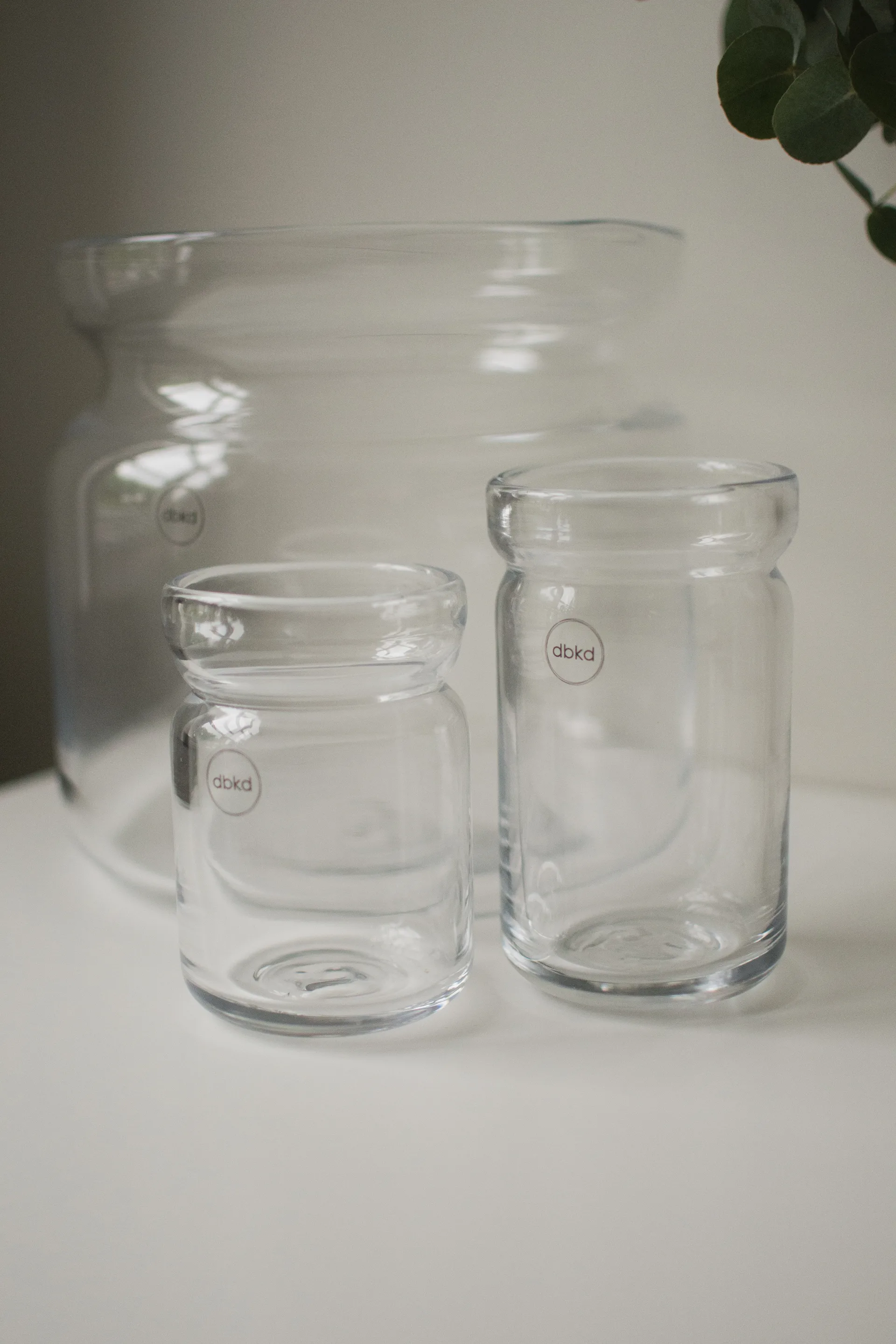 Neck vaso para plantas, Claro, Ø8x15 cm DBKD