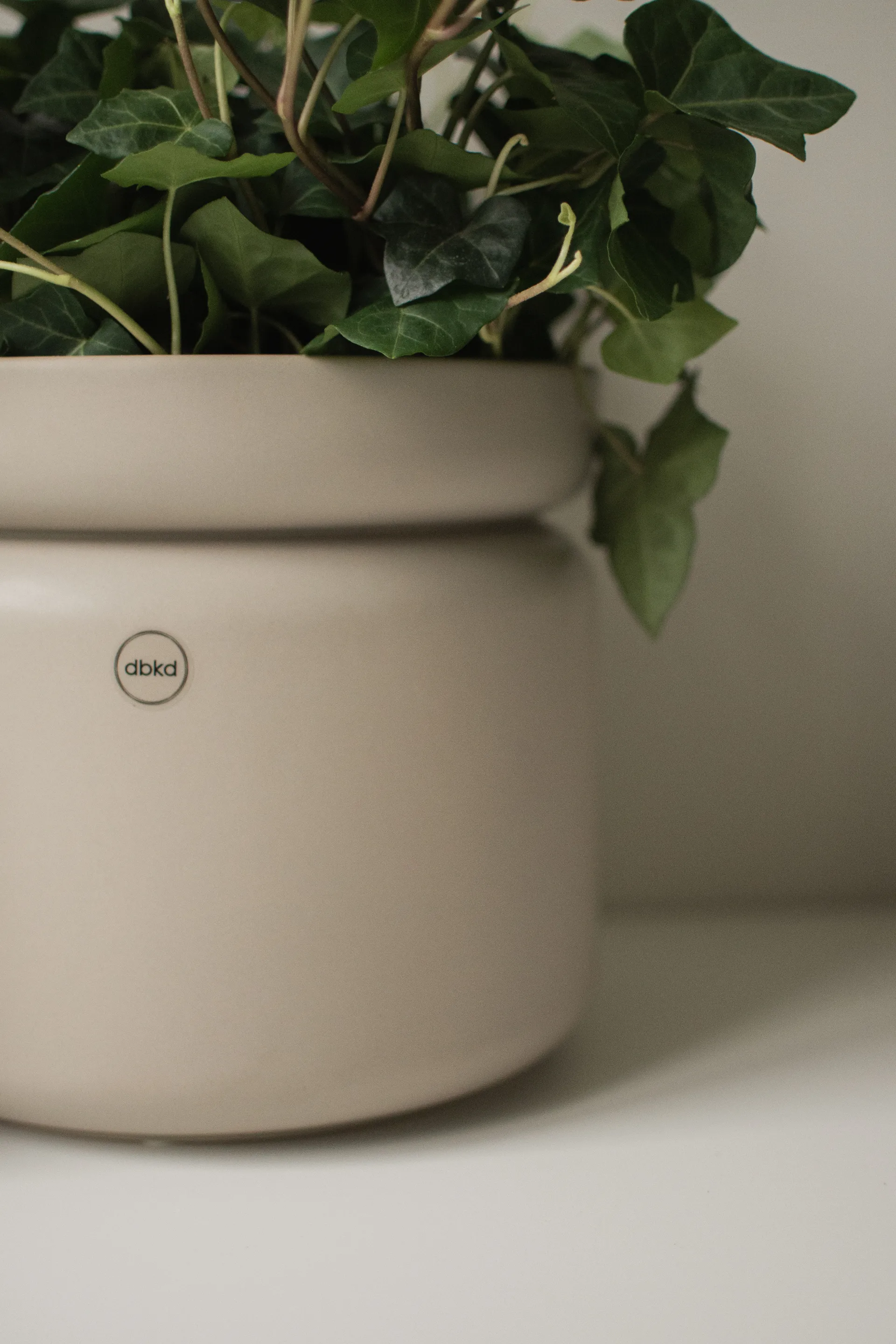 Neck vaso para plantas, Mole, Ø22,5x20 cm DBKD