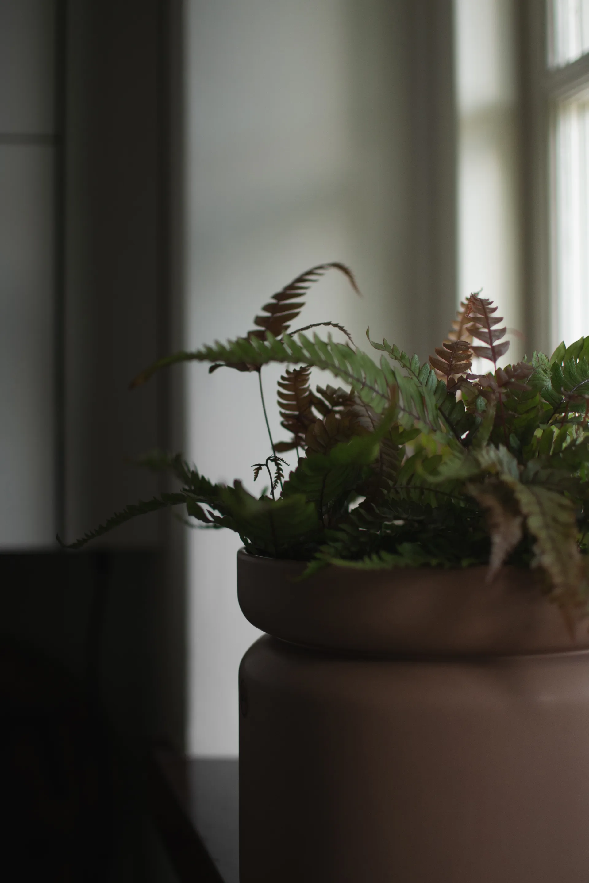 Neck vaso para plantas, Torrão , Ø22,5x20 cm DBKD