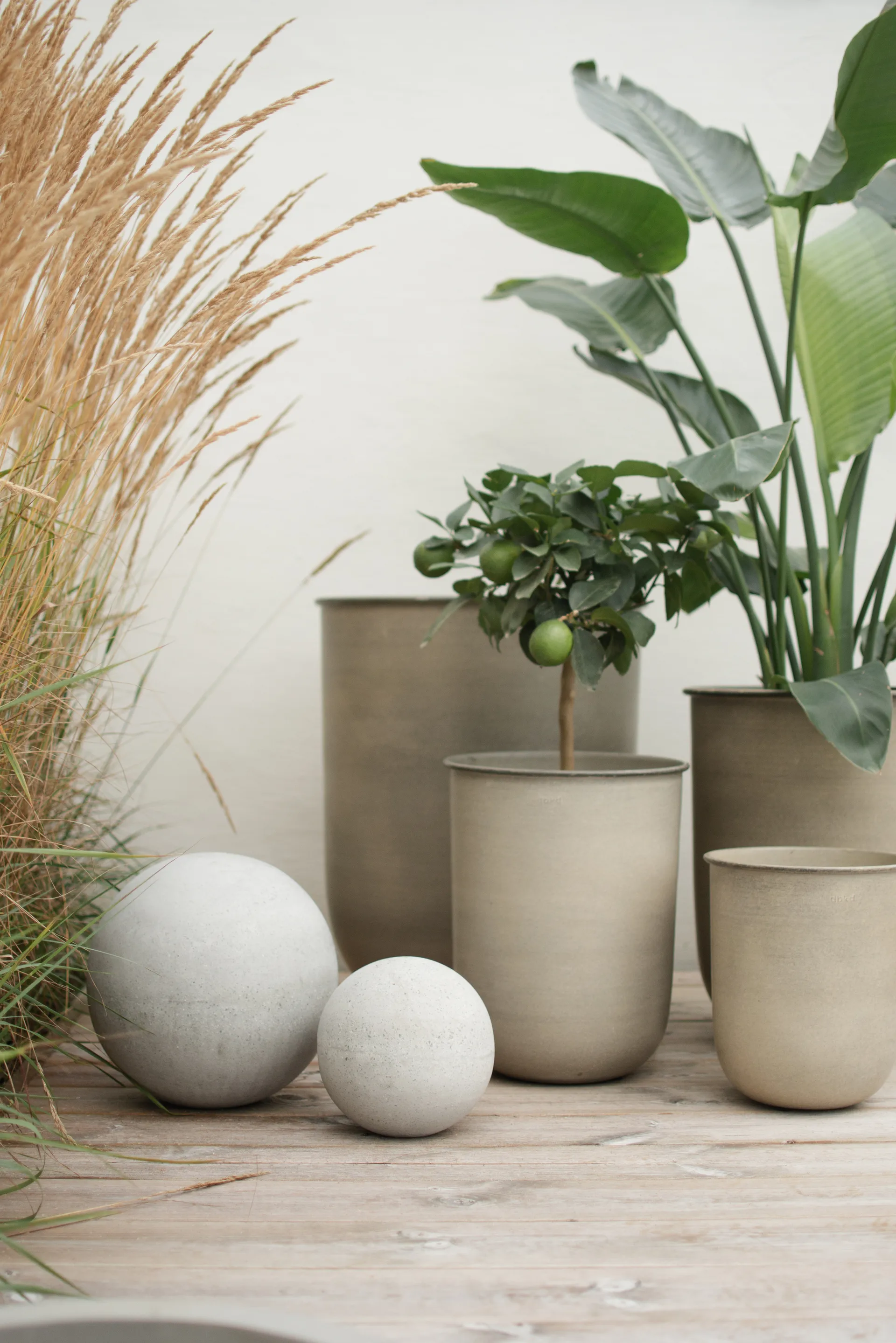 Out vaso 4 peças, Beige DBKD