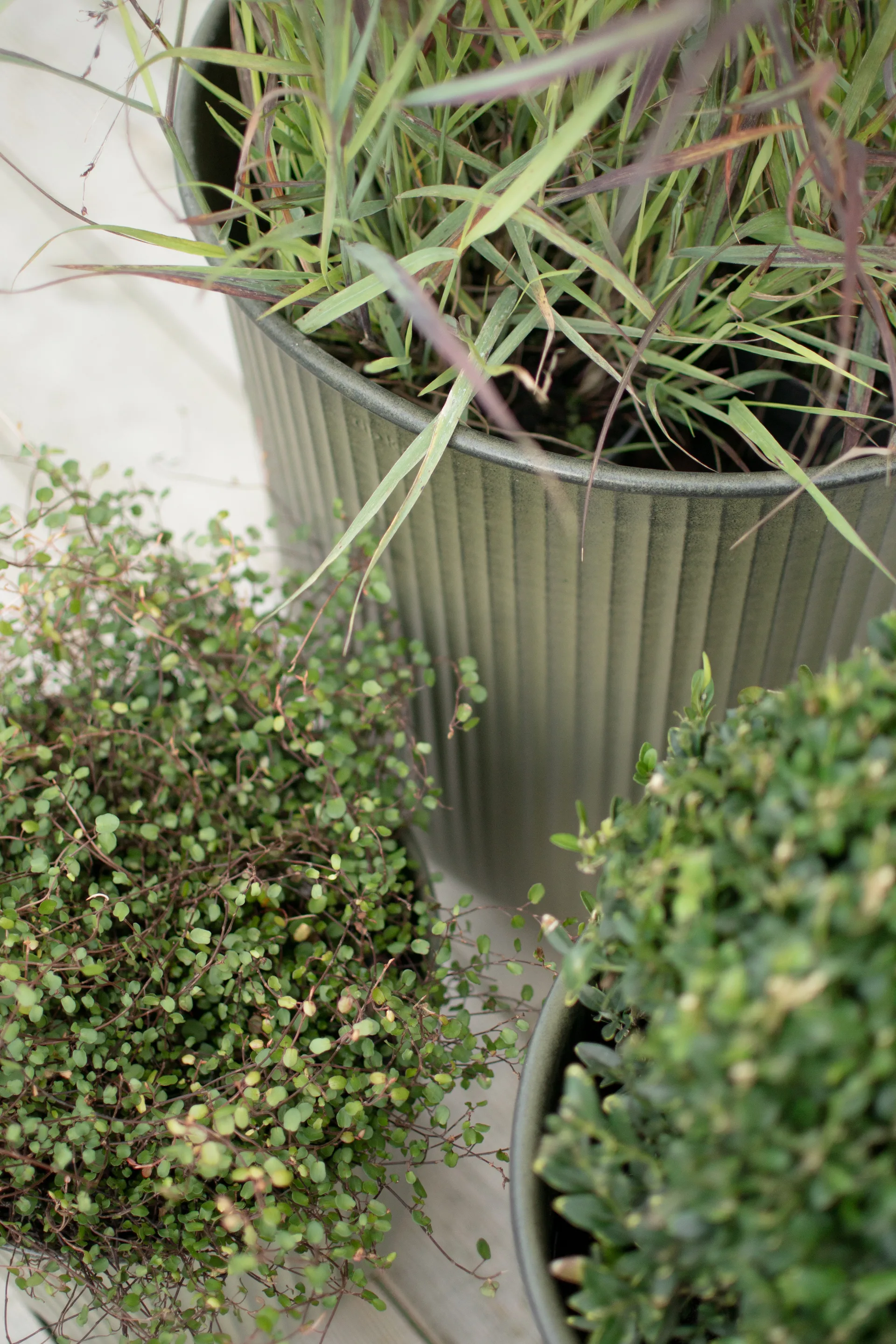 Out vaso riscado 3 peças, Verde DBKD