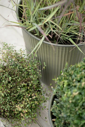 Out vaso riscado 3 peças - Verde - DBKD