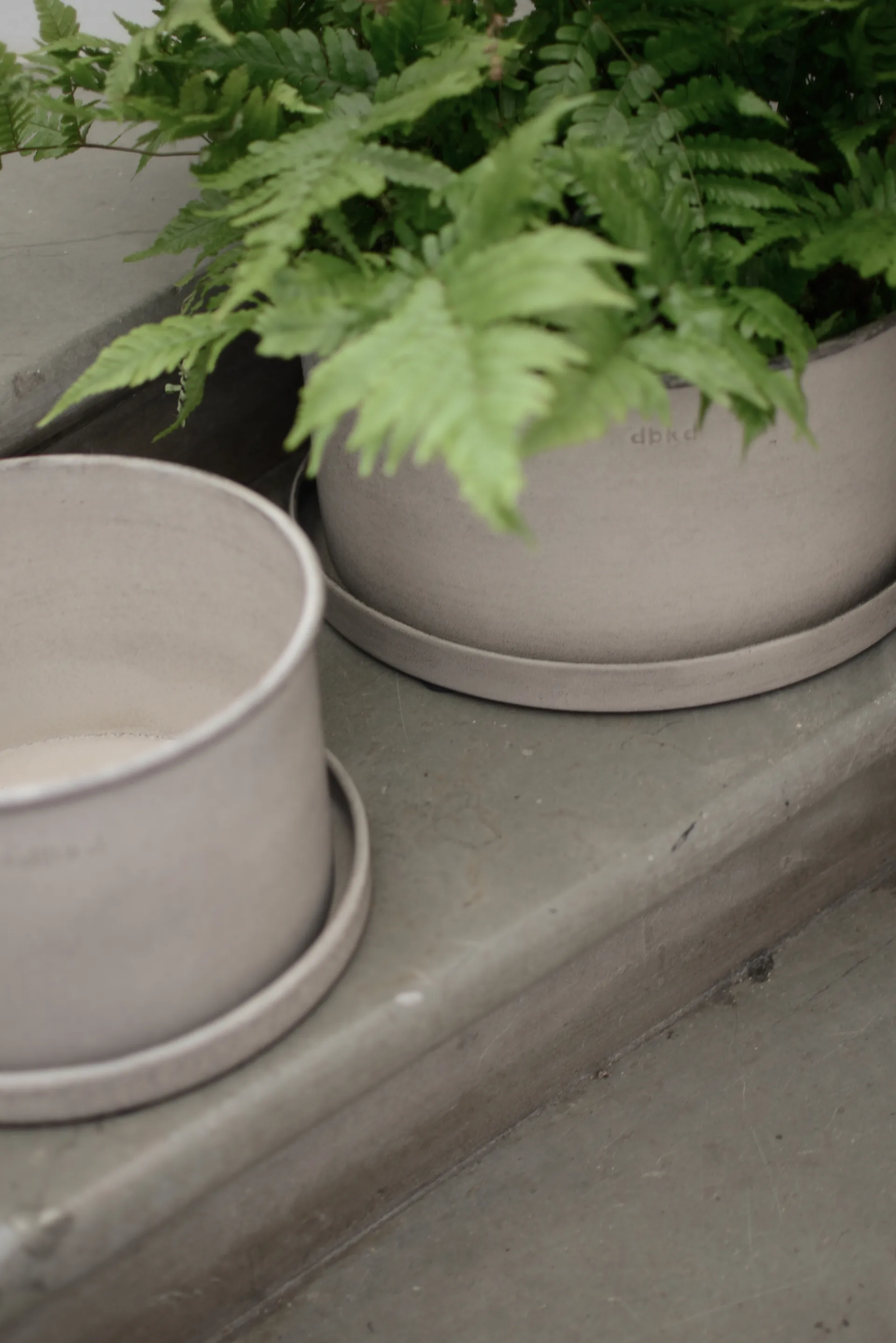 Plant pote de flores 2 unid., Beige DBKD