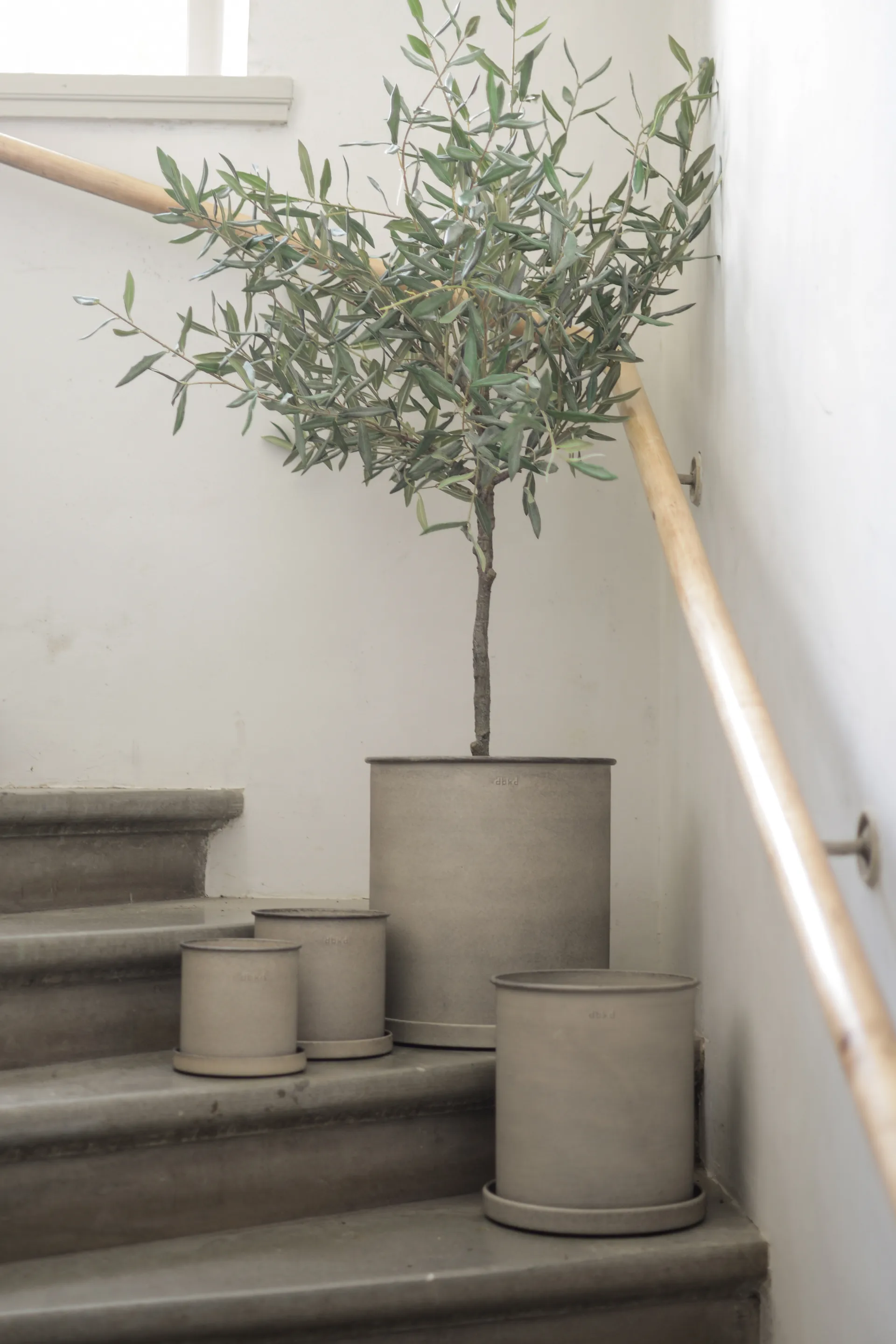 Plant pote de flores large 2 unid., Beige DBKD