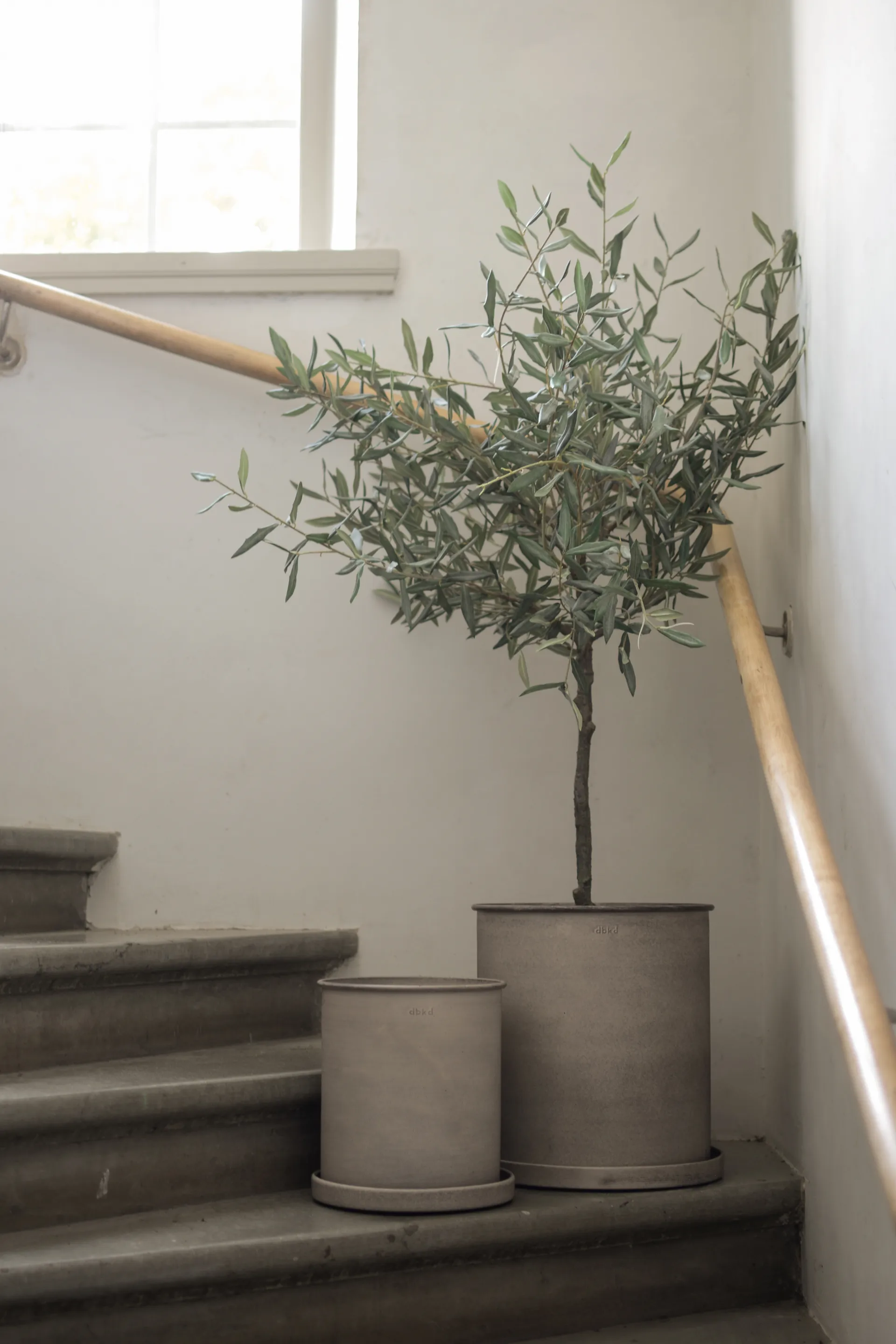 Plant pote de flores large 2 unid., Beige DBKD