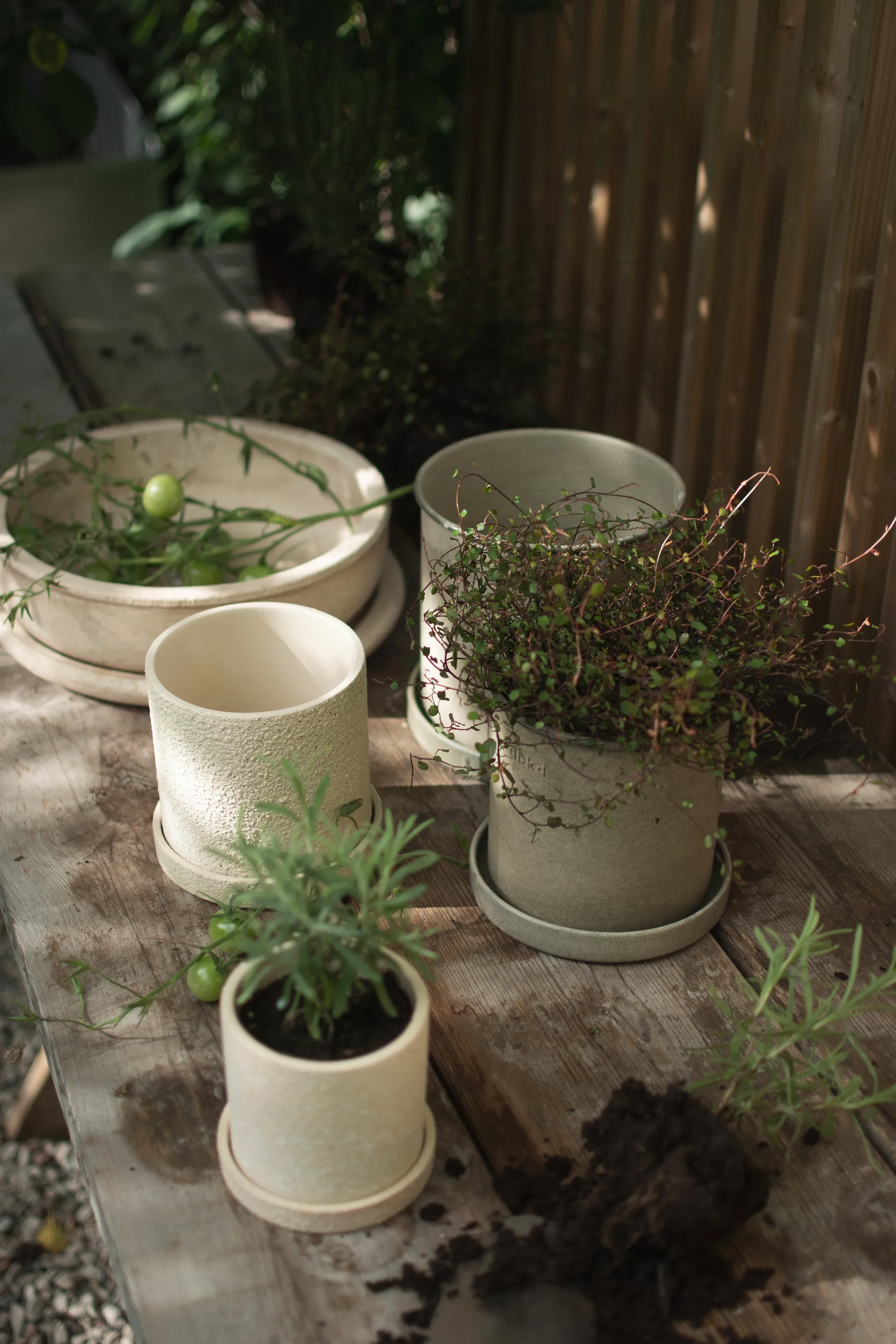 Pote Plant Pot small 2 unid., Beige DBKD