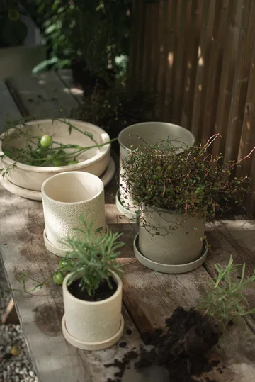 Pote Plant Pot small 2 unid. - Beige - DBKD