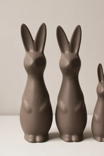 Swedish rabbit grande - Pó - DBKD
