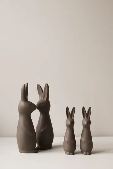 Swedish rabbit grande - Pó - DBKD