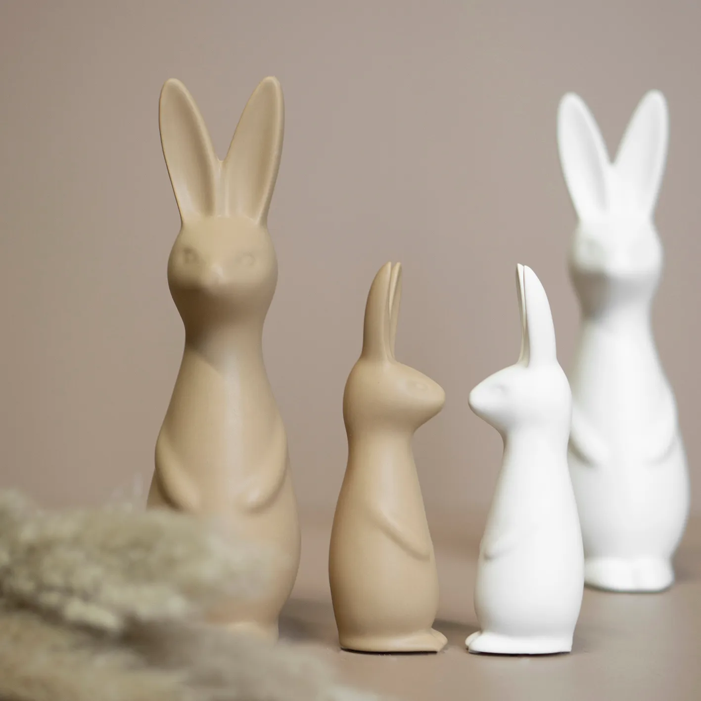 Swedish rabbit pequeno, White DBKD