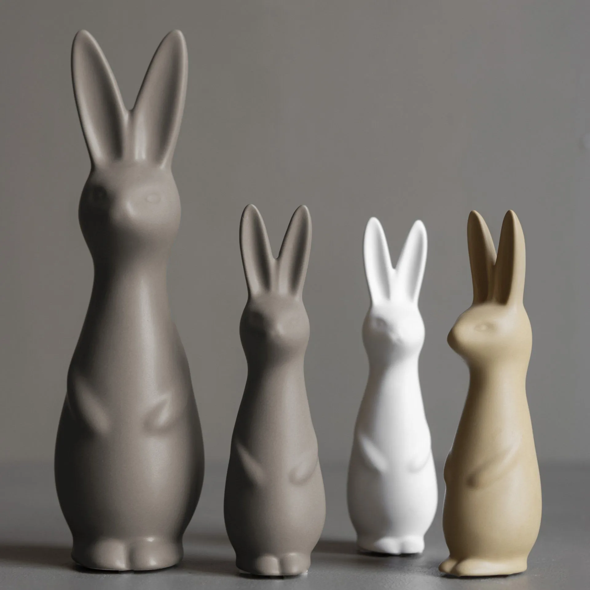 Swedish rabbit pequeno,  DBKD