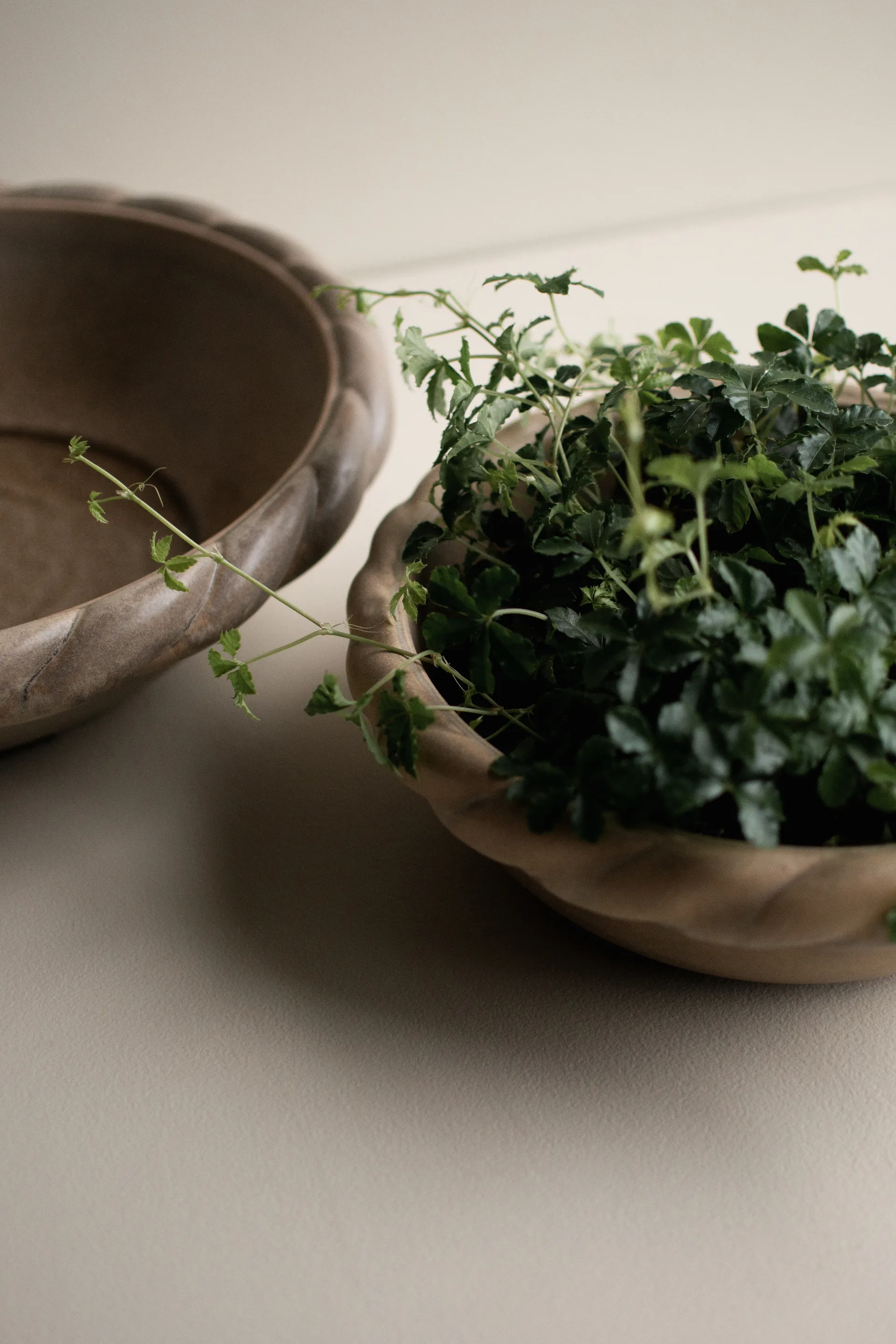 Twine prato Ø30 cm, Bege DBKD