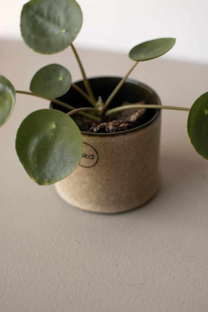 Vaso de flores Astillbe small, Beige DBKD