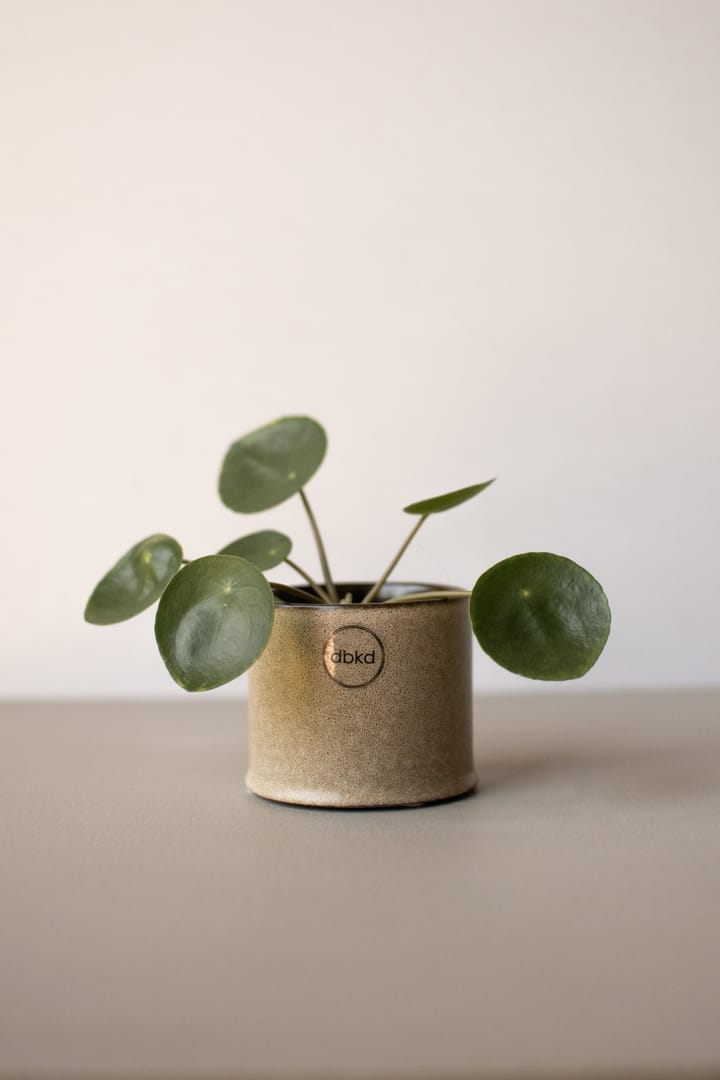 Vaso de flores Astillbe small, Beige DBKD