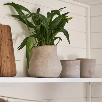 Vaso de flores em papel mole - Pequeno - DBKD