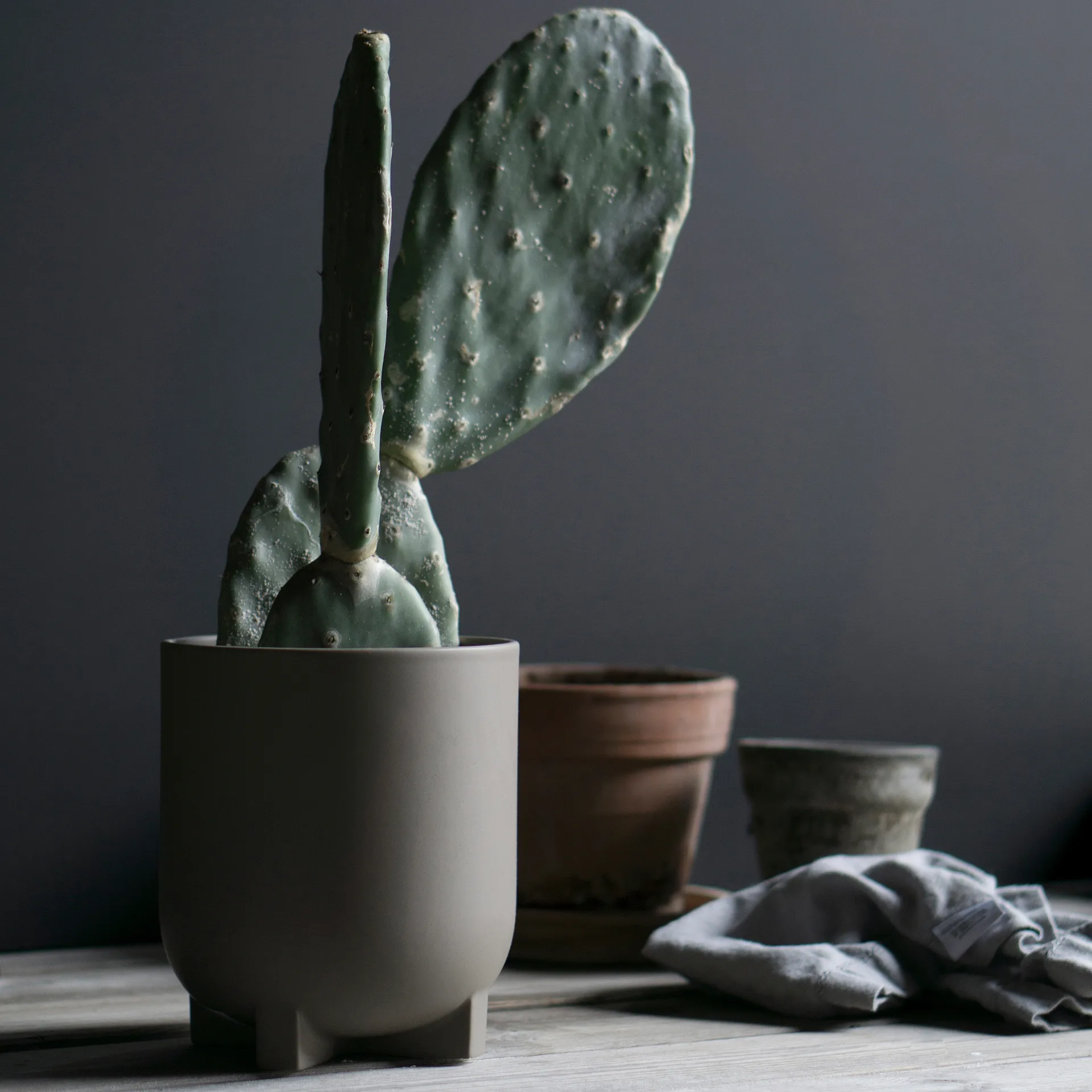 Vaso de flores Plus Ø16 cm, dust DBKD