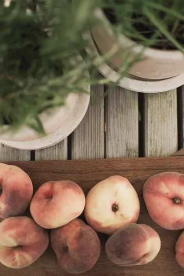 Vaso Terra - Areia, Ø16x16 cm - DBKD