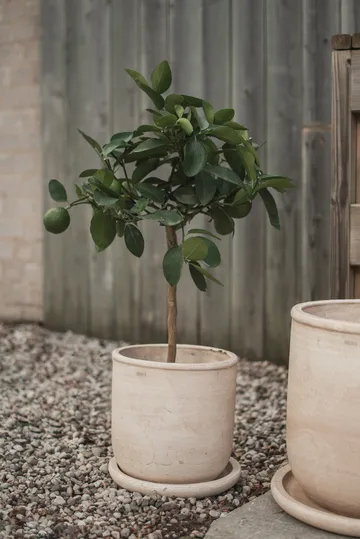 Vaso Terra - Areia, Ø23x26 cm - DBKD