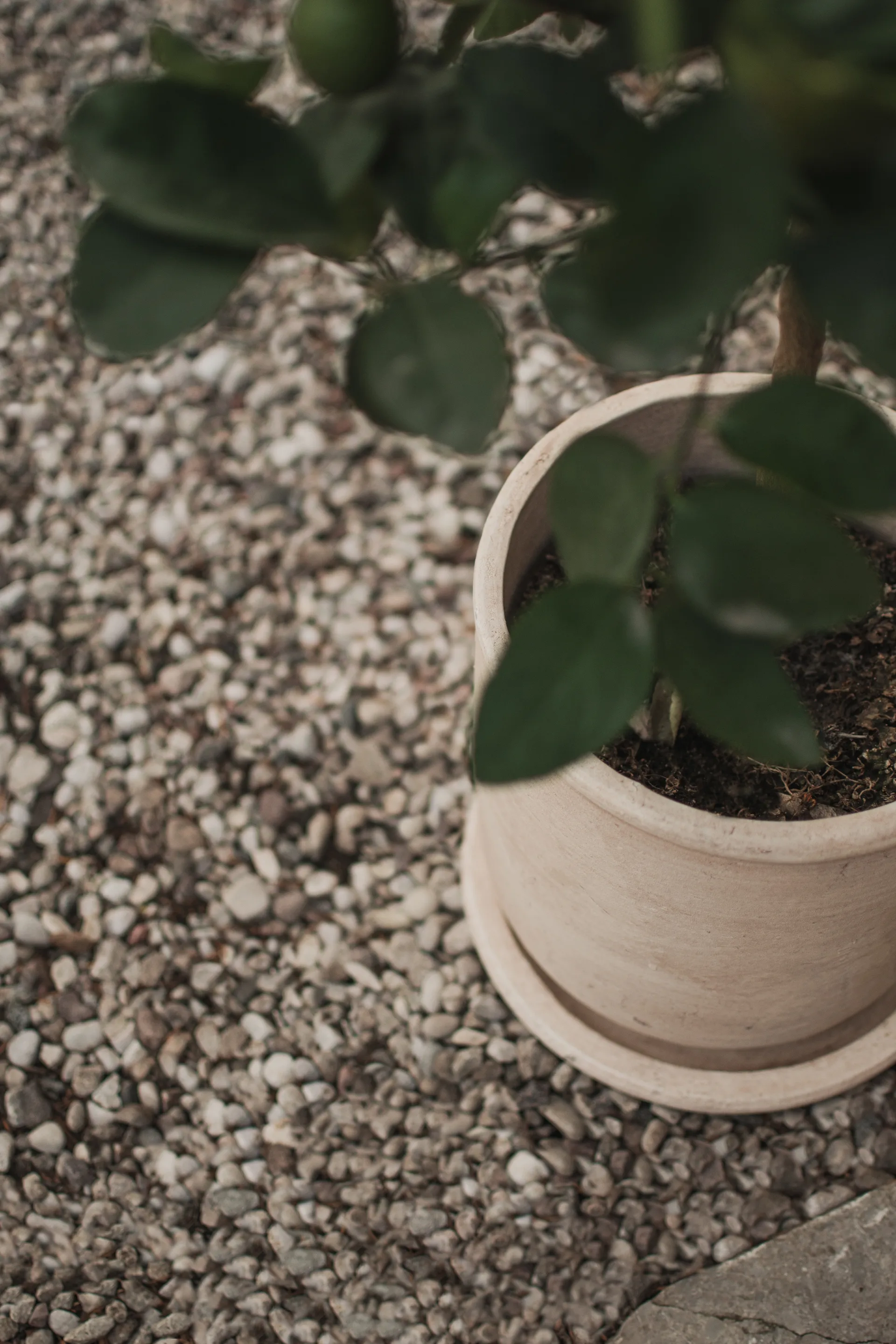 Vaso Terra, Areia, Ø23x26 cm DBKD