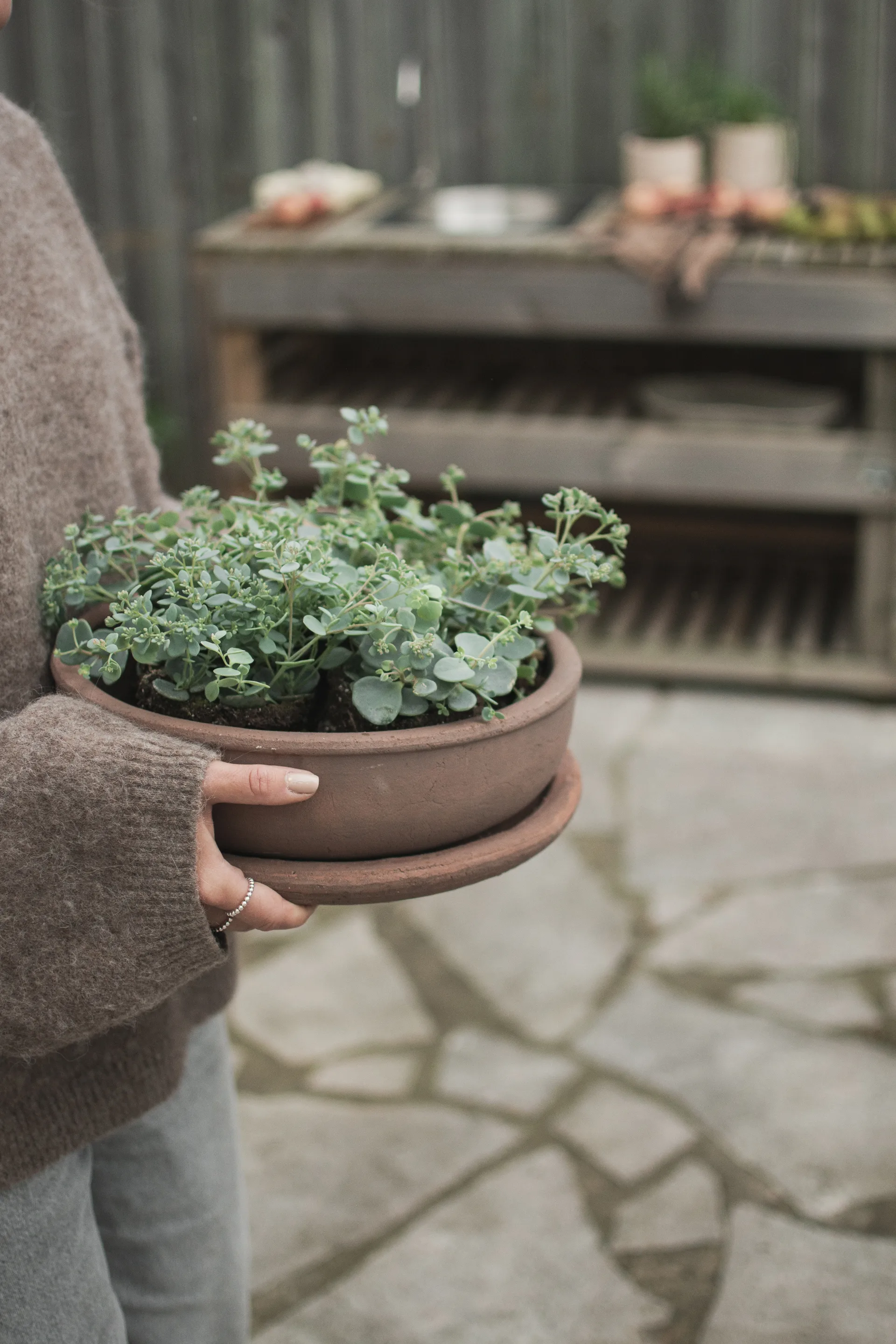 Vaso Terra bowl, Castanho, Ø30x10,5 cm DBKD