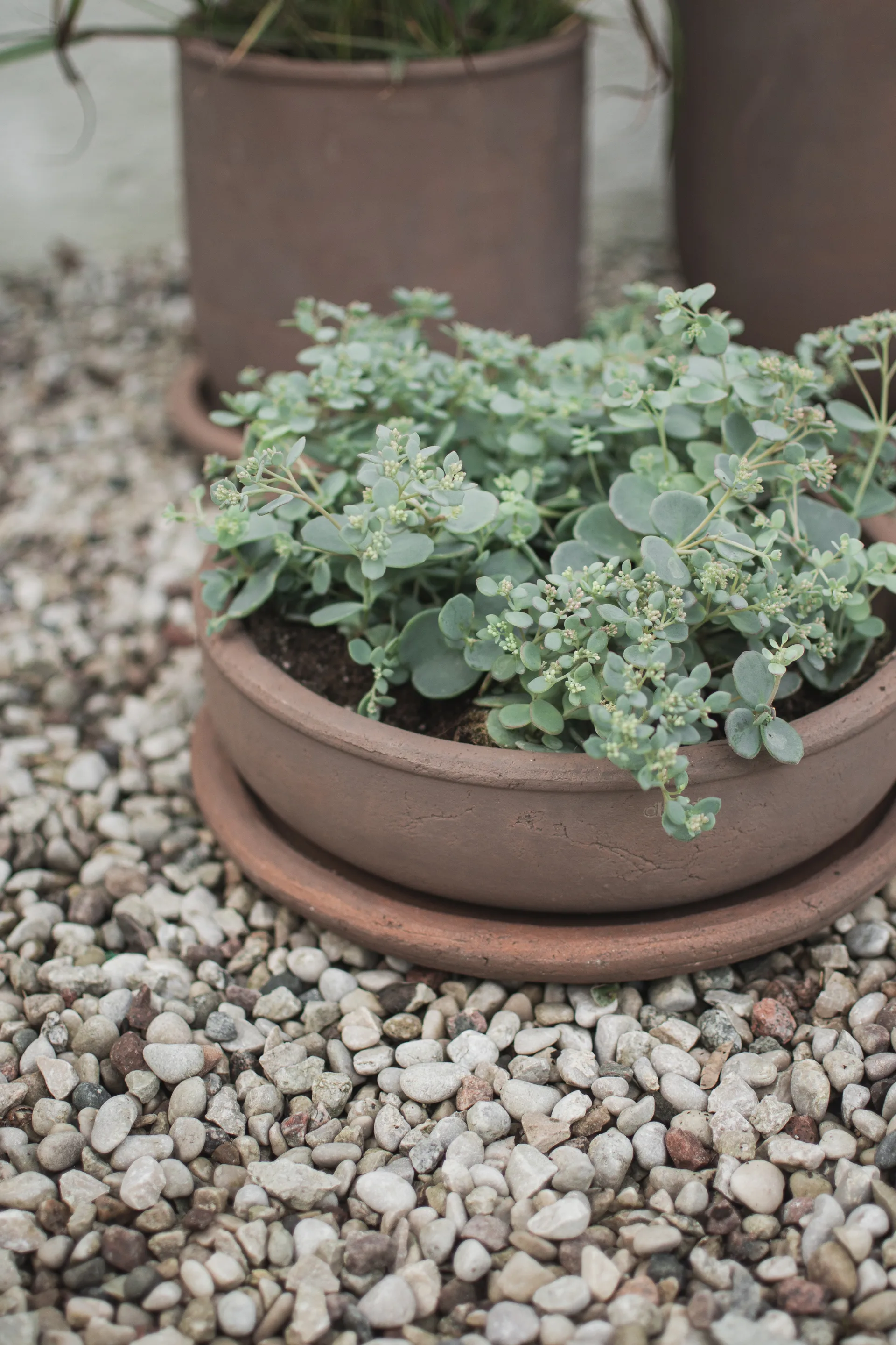 Vaso Terra bowl, Castanho, Ø30x10,5 cm DBKD