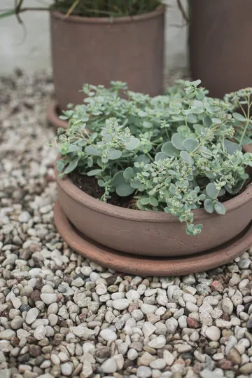 Vaso Terra bowl - Castanho, Ø30x10,5 cm - DBKD