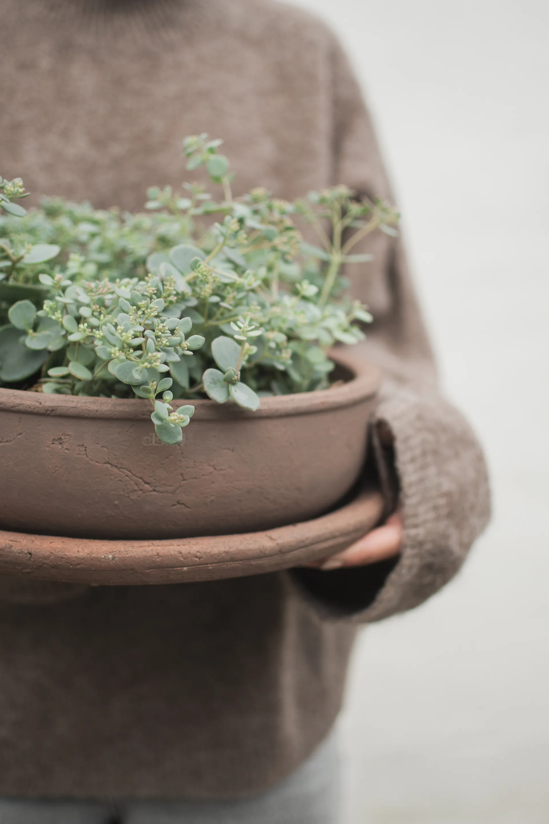 Vaso Terra bowl, Castanho, Ø30x10,5 cm DBKD