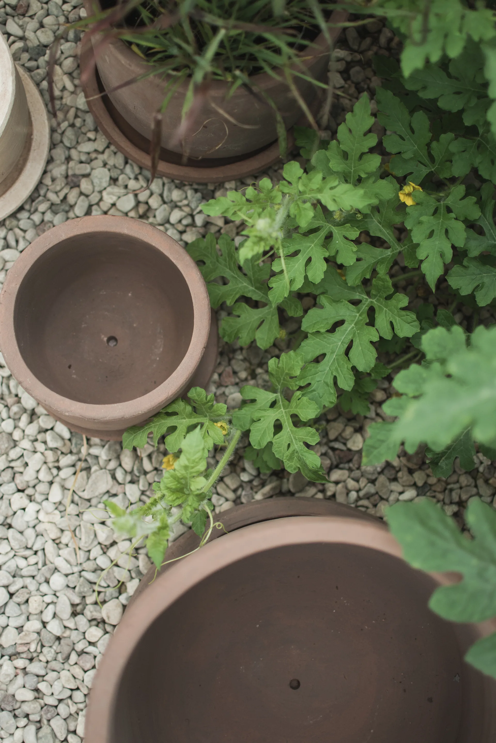 Vaso Terra, Castanho, Ø33x36 cm DBKD