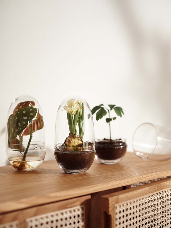 Estufa Grow, Médio Design House Stockholm
