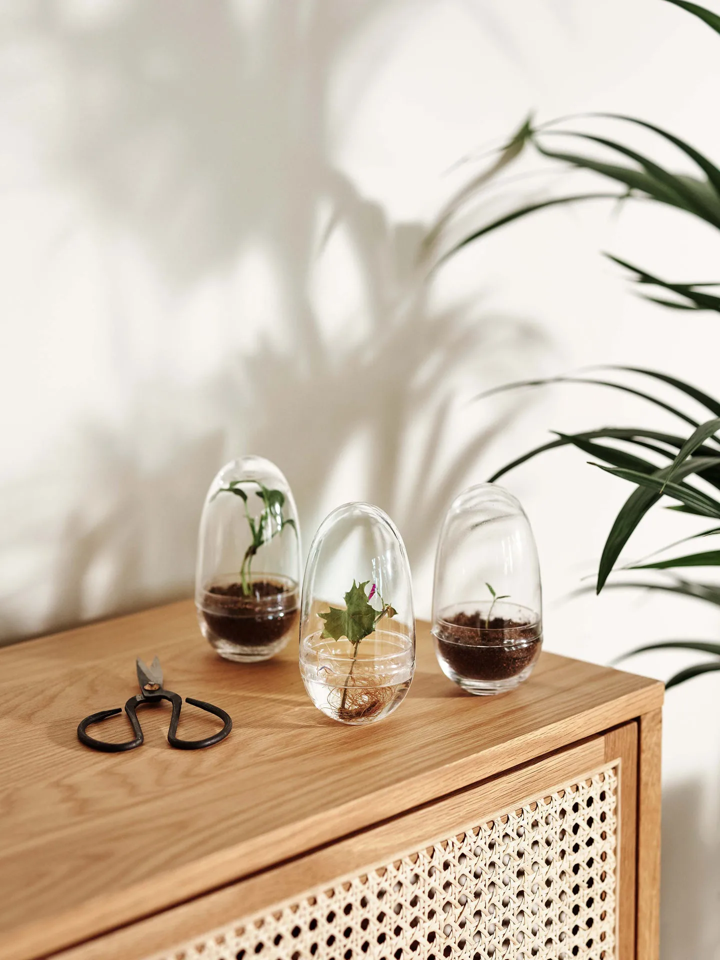 Estufa Grow, Pequeno Design House Stockholm