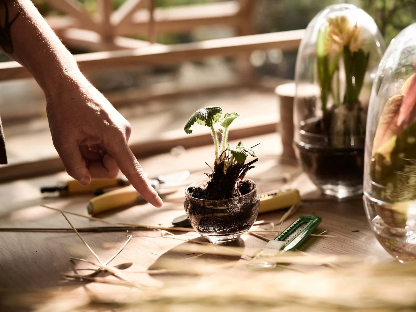 Estufa Grow, Pequeno Design House Stockholm