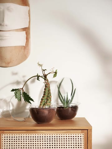 Estufa Grow - XL - Design House Stockholm