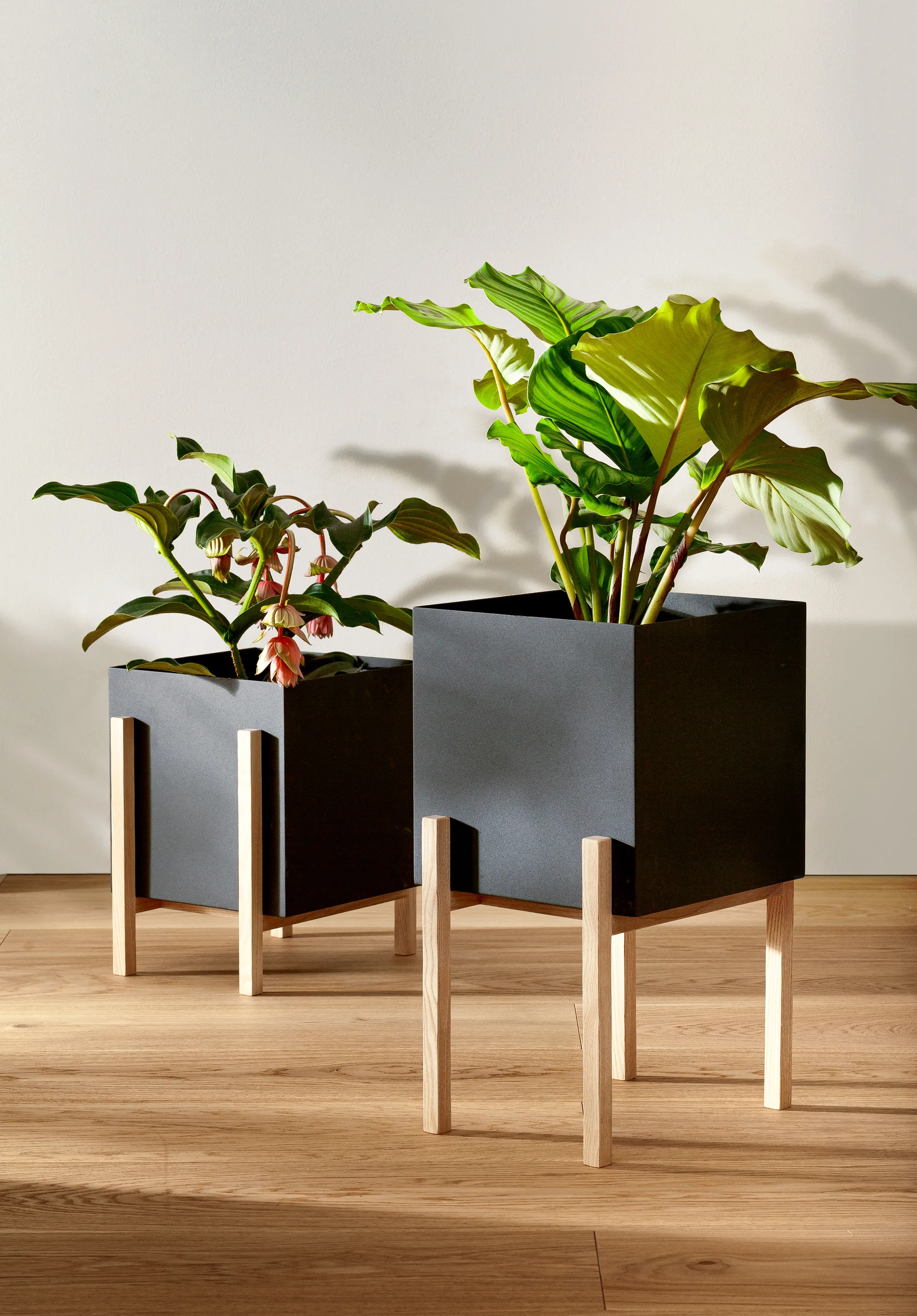 Suporte Botanic pedestal, Preto-freixo Design House Stockholm