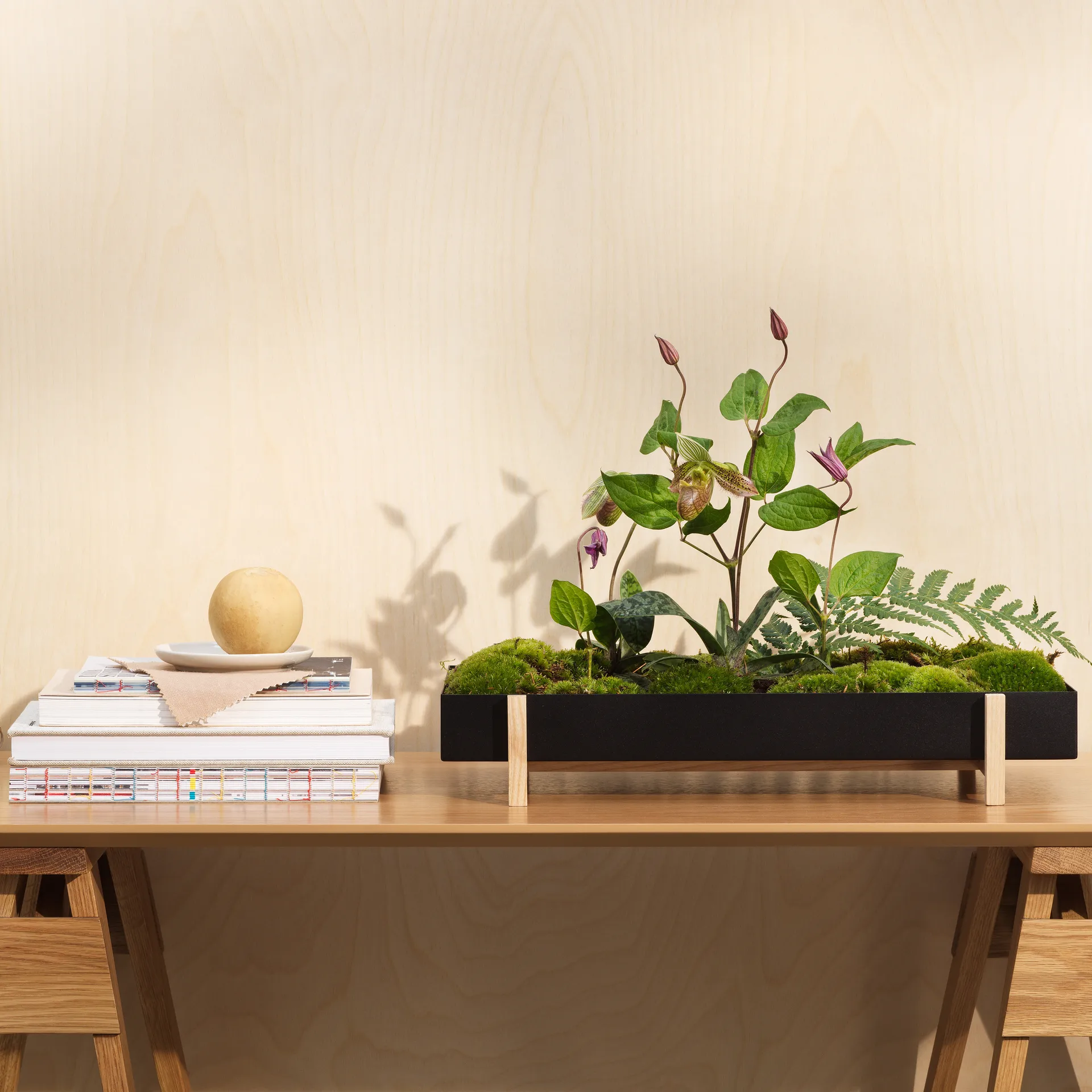 Vaso de flores Botanic Flower Tray, preto Design House Stockholm