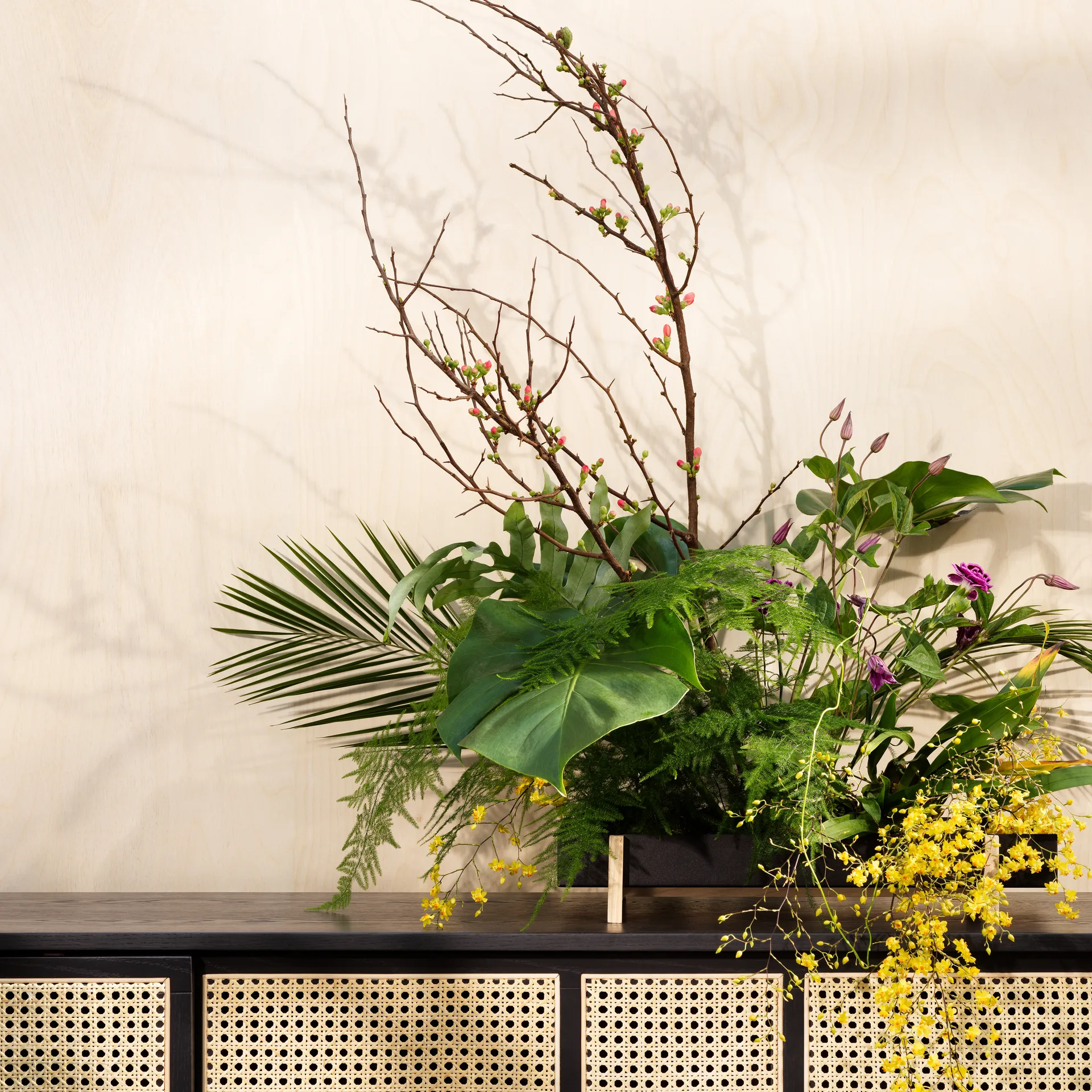 Vaso de flores Botanic Flower Tray, preto Design House Stockholm