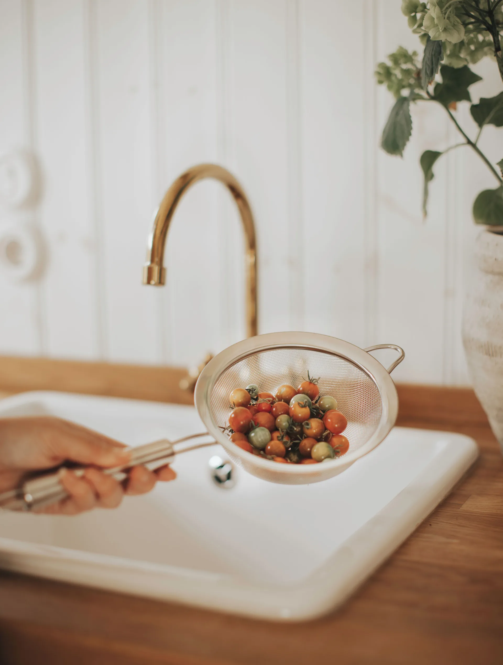 Coador Pia Ø16 cm, Aço inoxidável Dorre