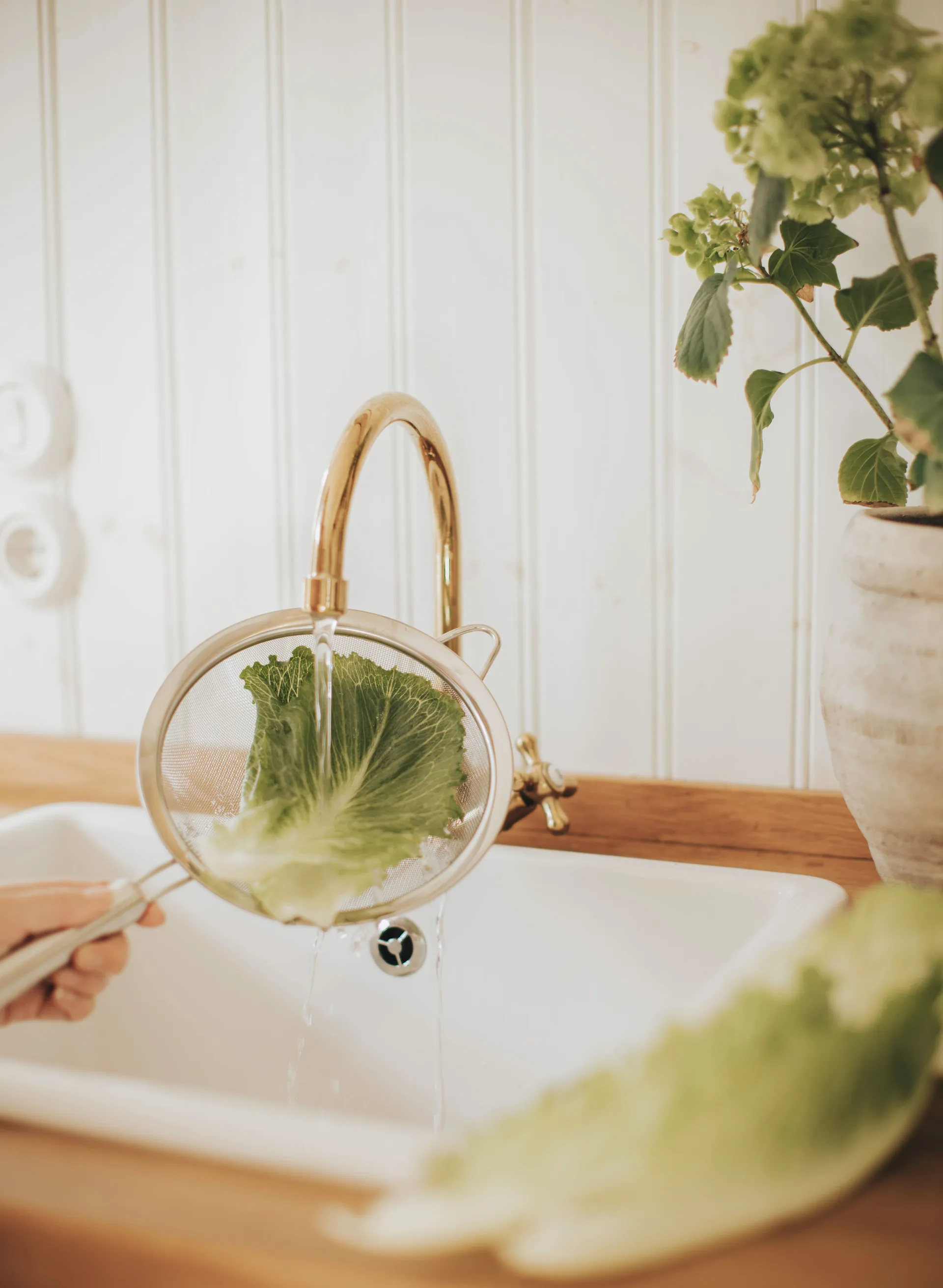 Coador Pia Ø20 cm, Aço inoxidável Dorre