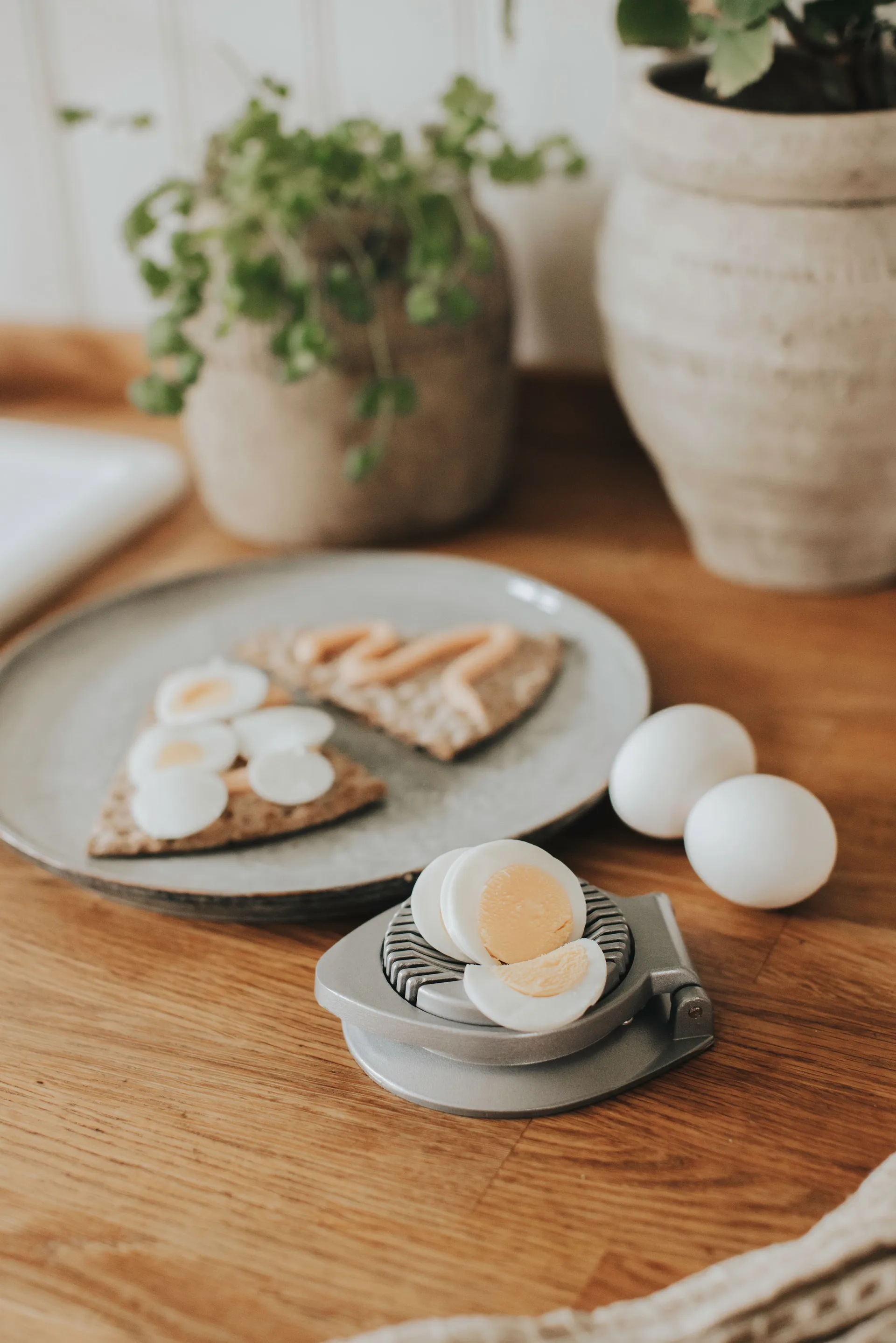 Cortador de ovos Ellis, Alumínio Dorre