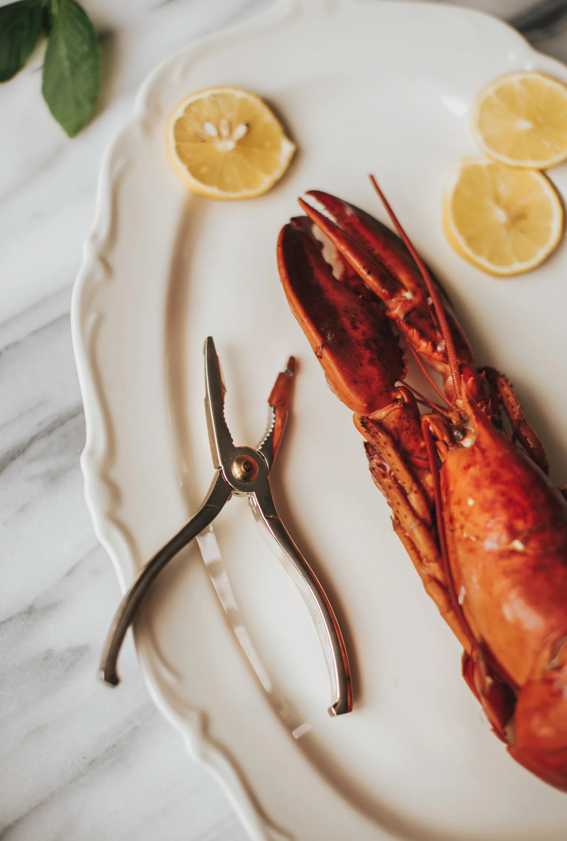 Pinça para lagostas Skai 15 cm, Prata Dorre