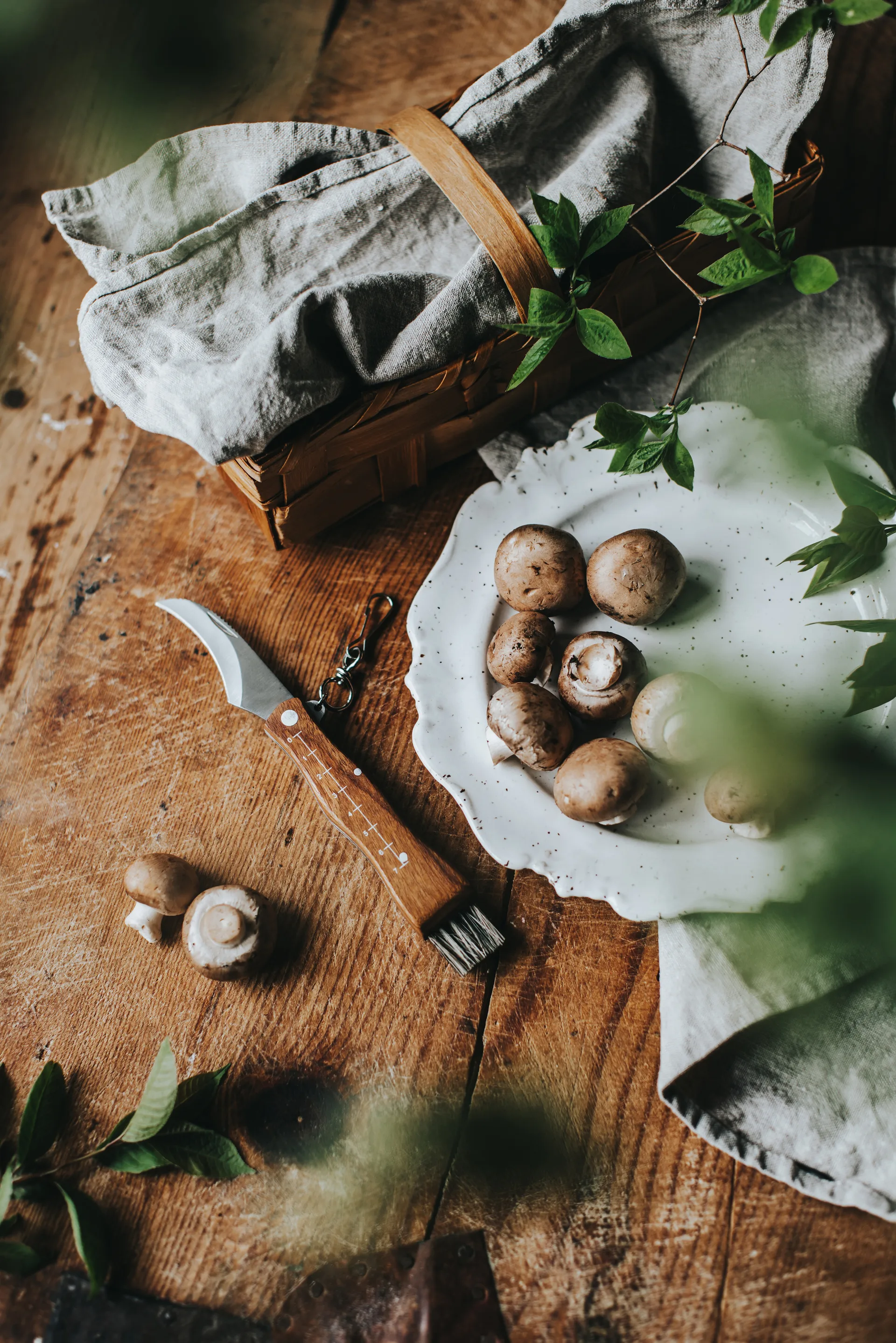 Stuti faca para cogumelos com cabo de madeira castanho e escova 13x2 cm, Aço inoxidável Dorre