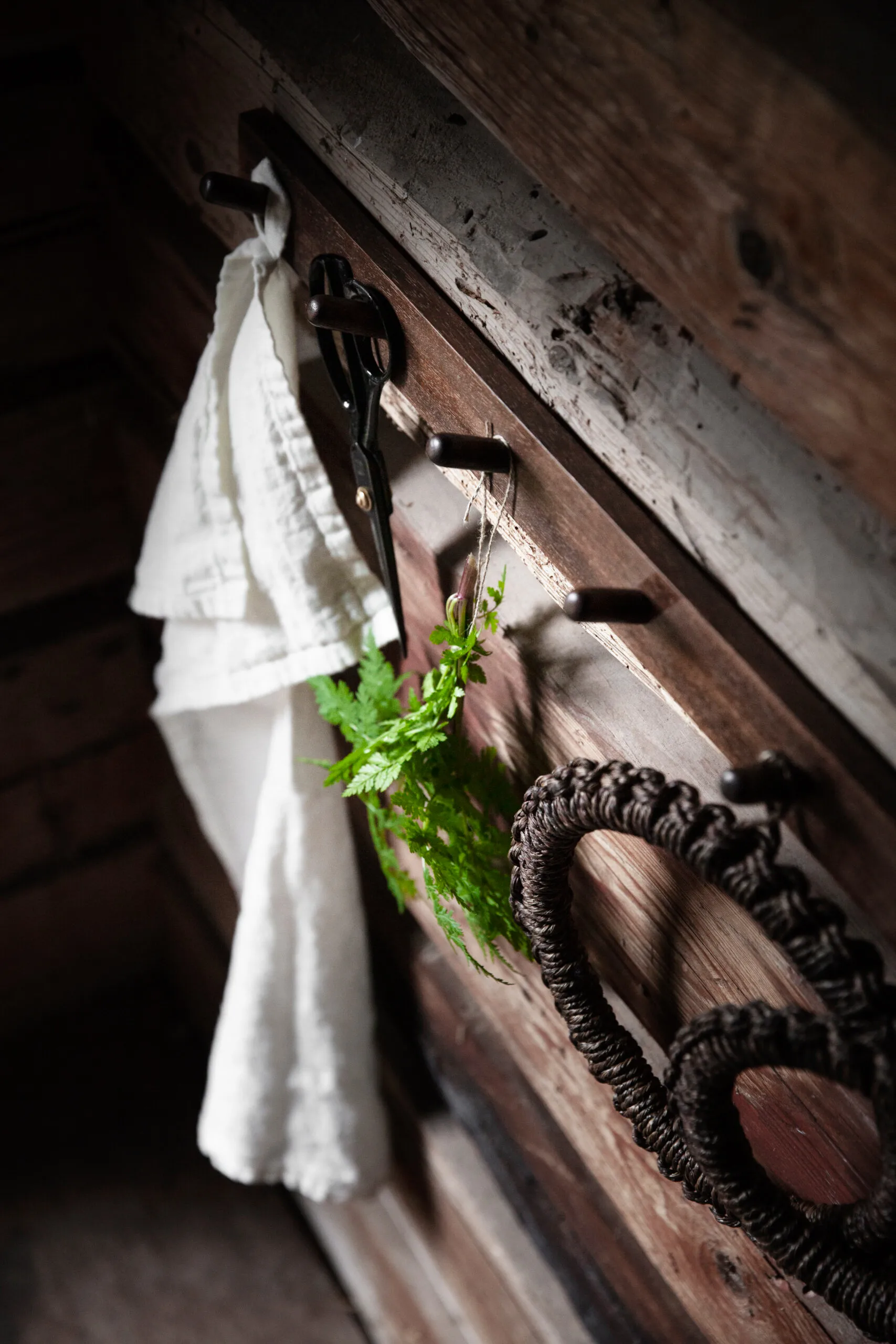 Cabide Ernst 3 ganchos, Brown ERNST