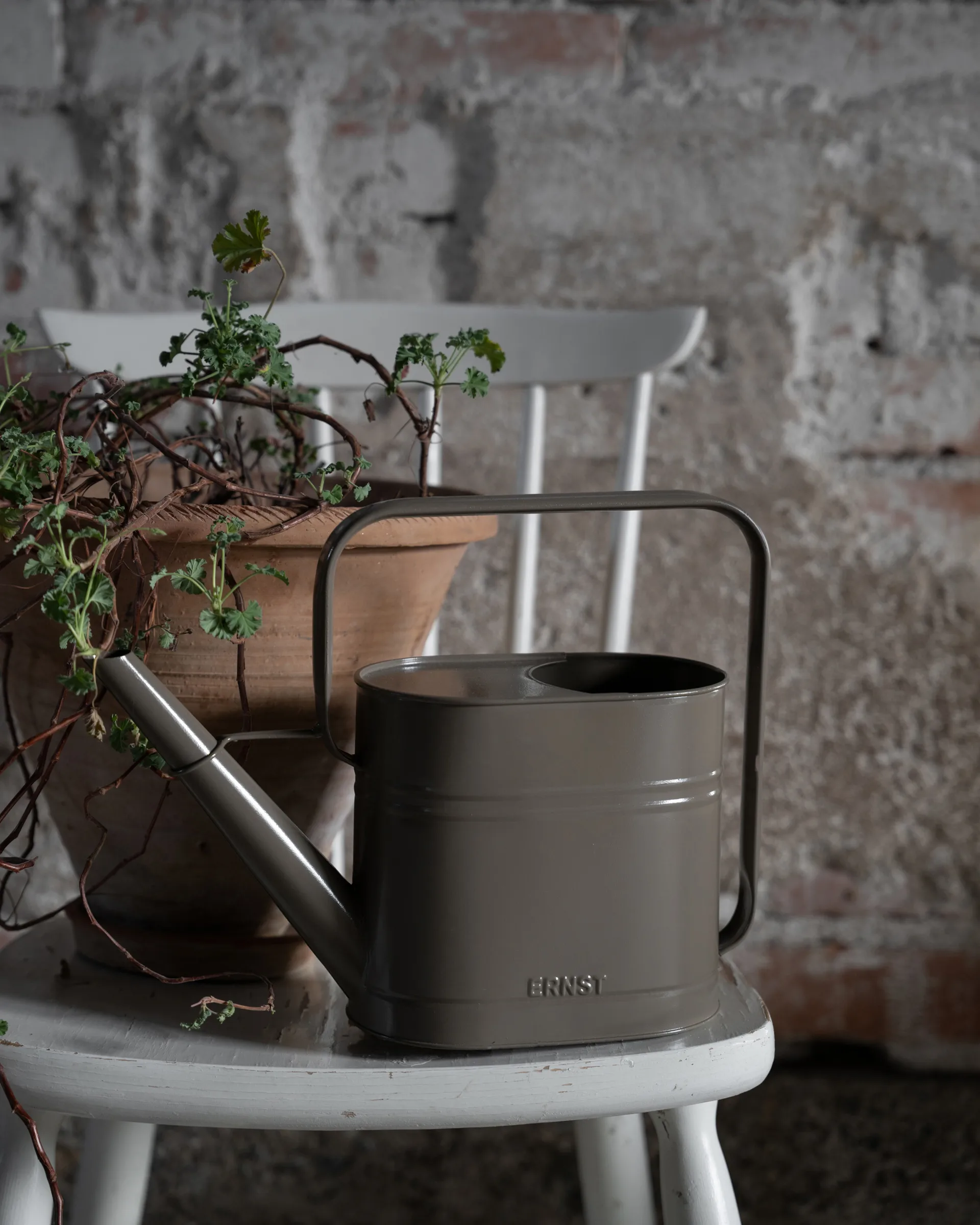 Ernst regador, Mullvad, 3 L ERNST