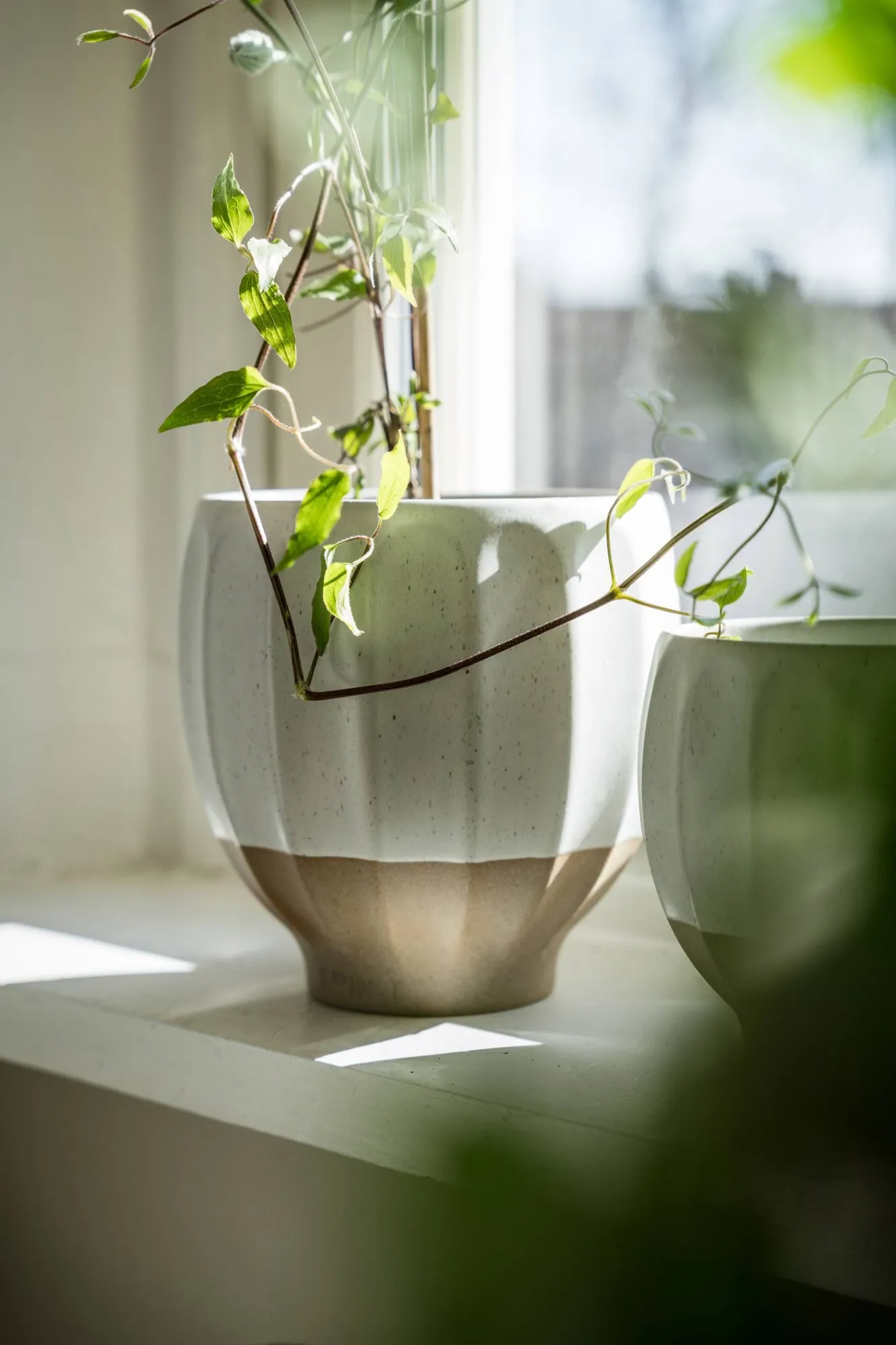 Ernst vaso, Branco-natural, Ø18x18 cm ERNST