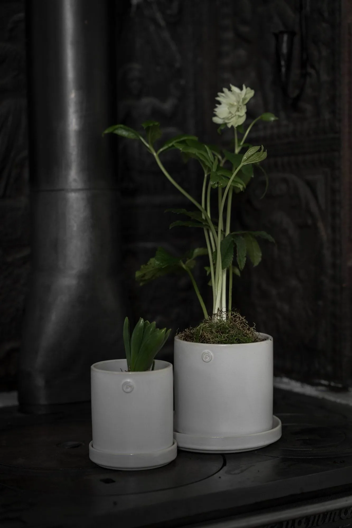 Ernst vaso com prato, Branco, Ø10x11 cm ERNST