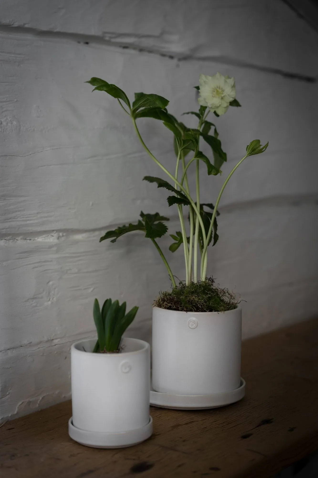 Ernst vaso com prato, Branco, Ø13x13 cm ERNST