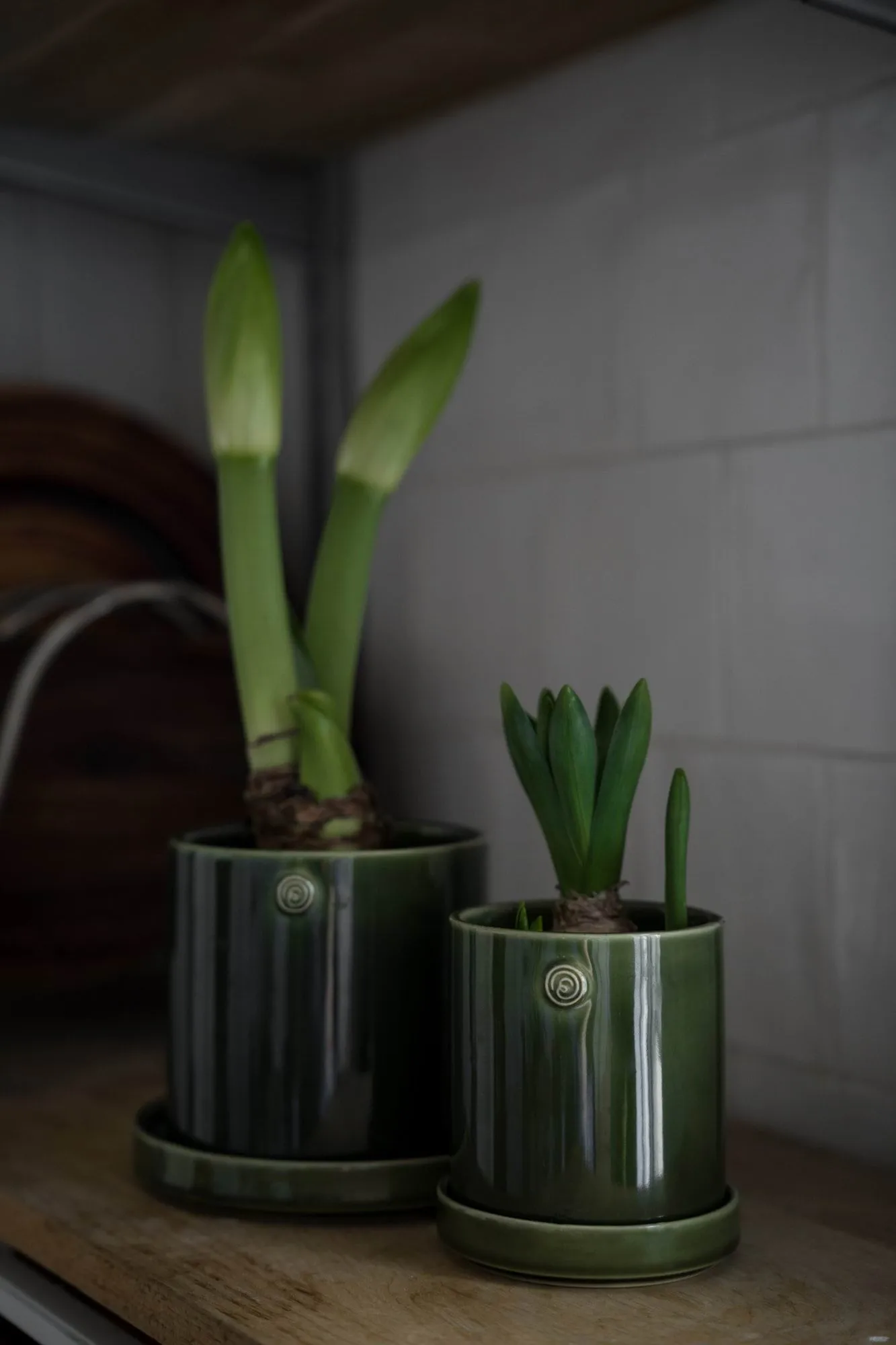 Ernst vaso com prato, Verde, Ø13x13 cm ERNST