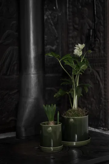 Ernst vaso com prato - Verde, Ø13x13 cm - ERNST